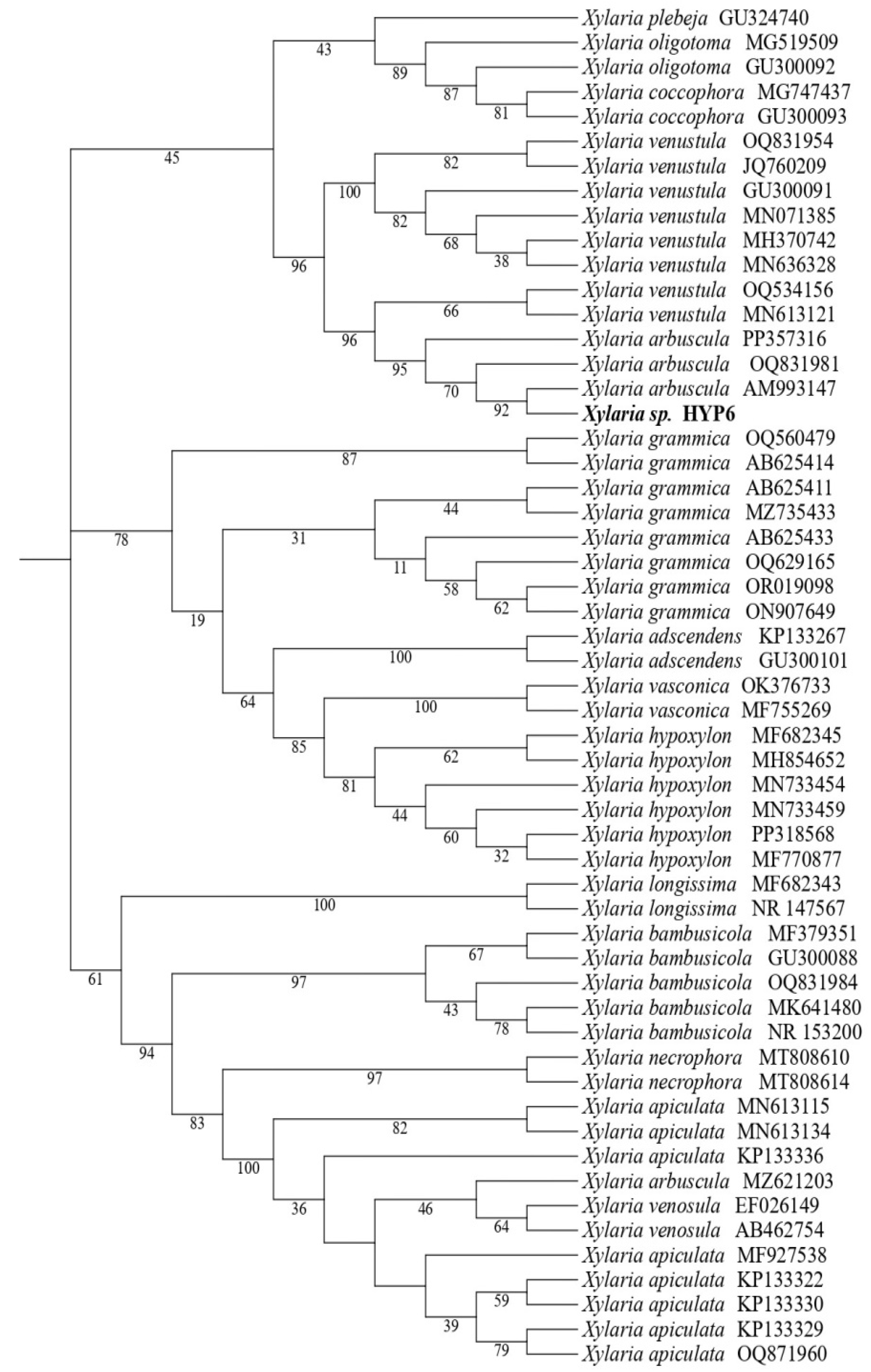 Molecules 30 00470 g001