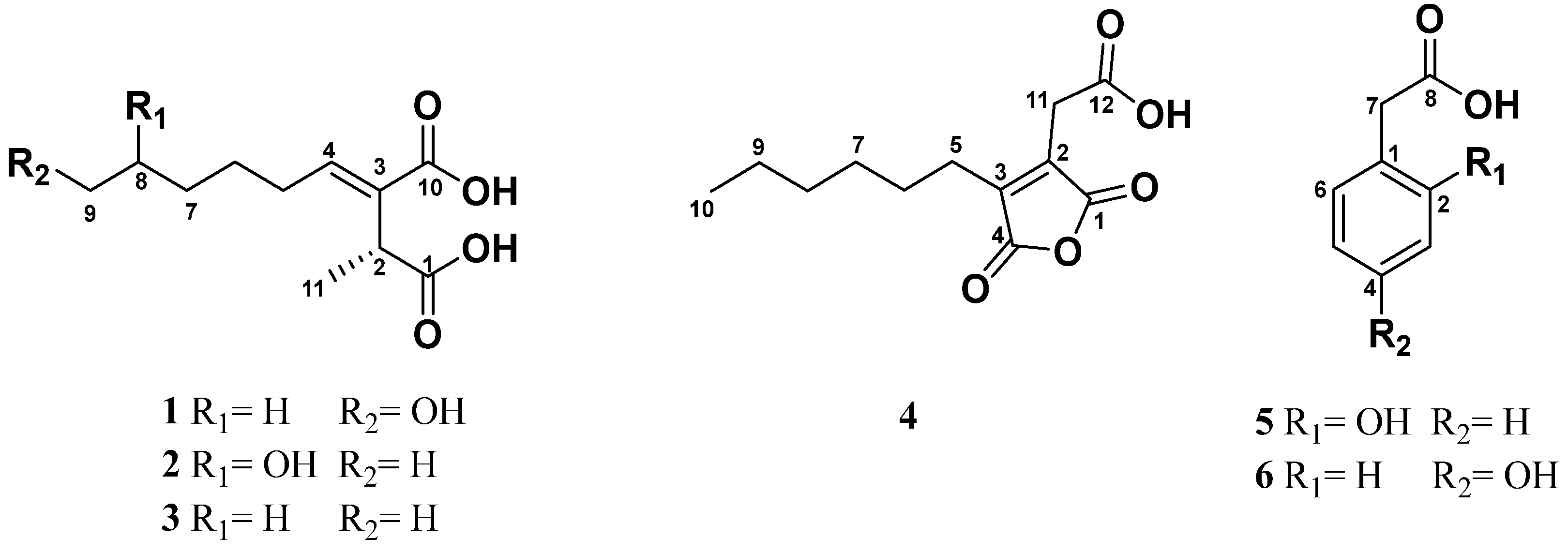 Molecules 30 00470 g002