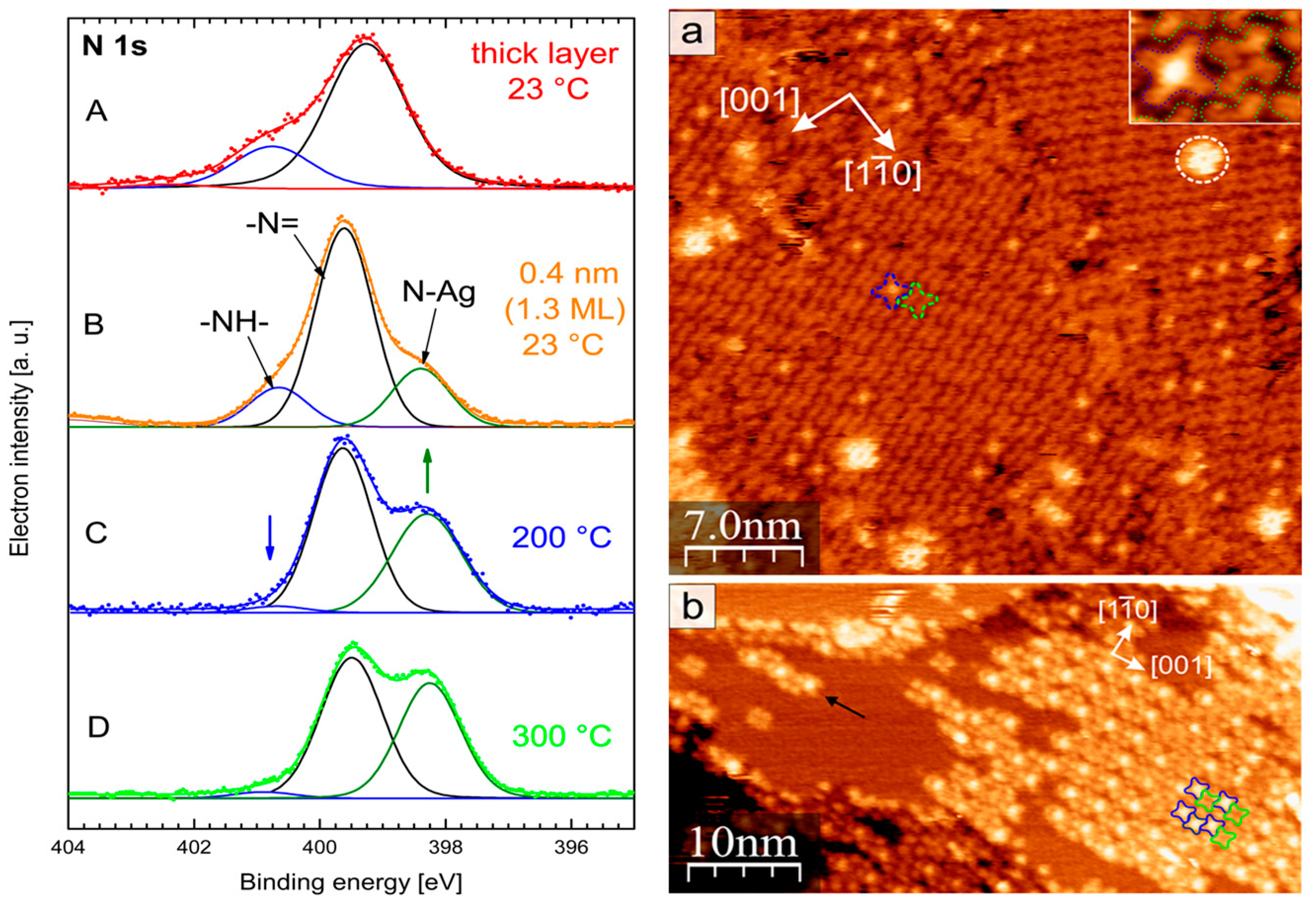 Molecules 30 00471 g004 Molecules 30 00471 g004