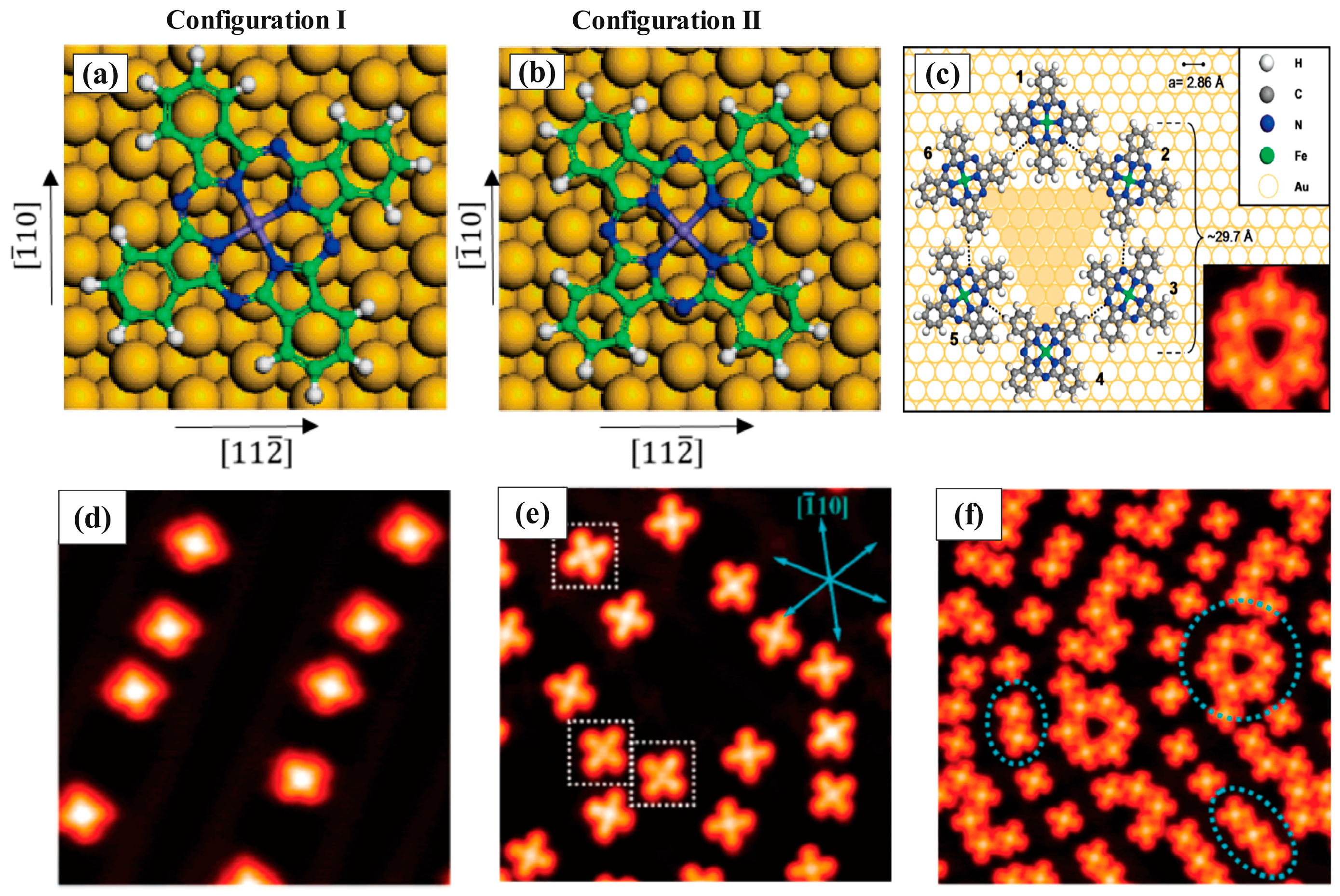 Molecules 30 00471 g008 Molecules 30 00471 g008