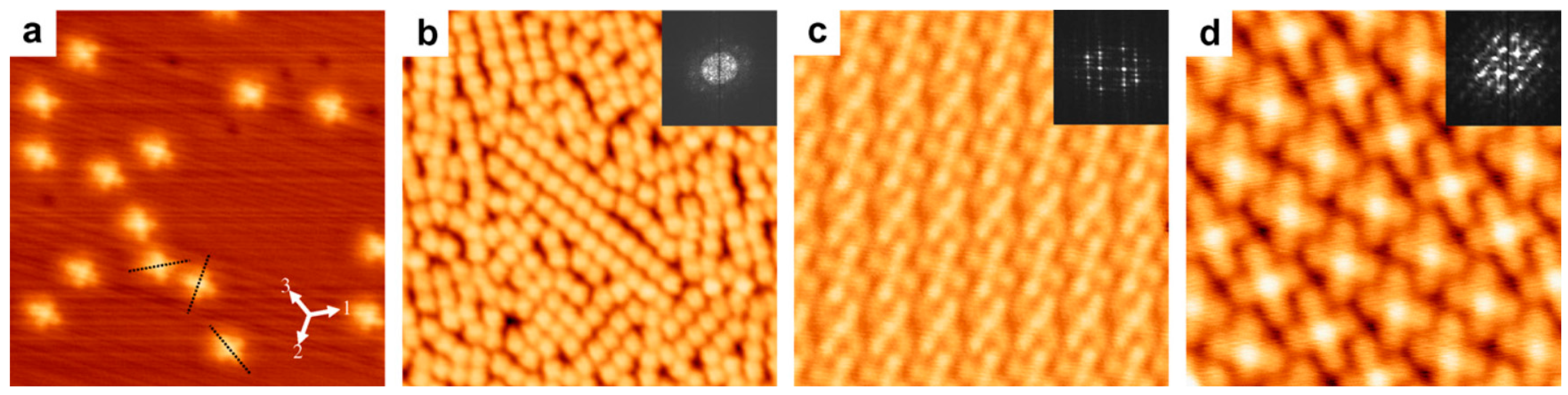 Molecules 30 00471 g010 Molecules 30 00471 g010