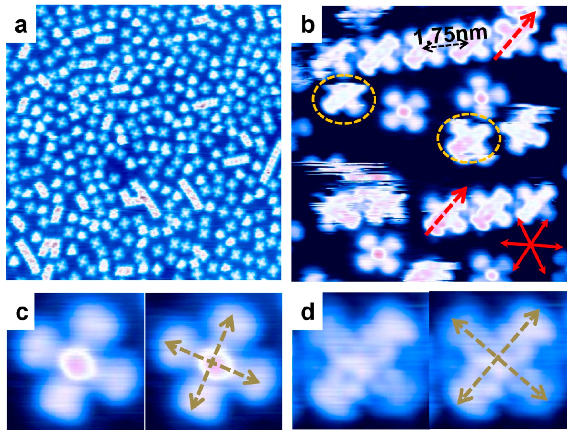 Molecules 30 00471 g014 Molecules 30 00471 g014