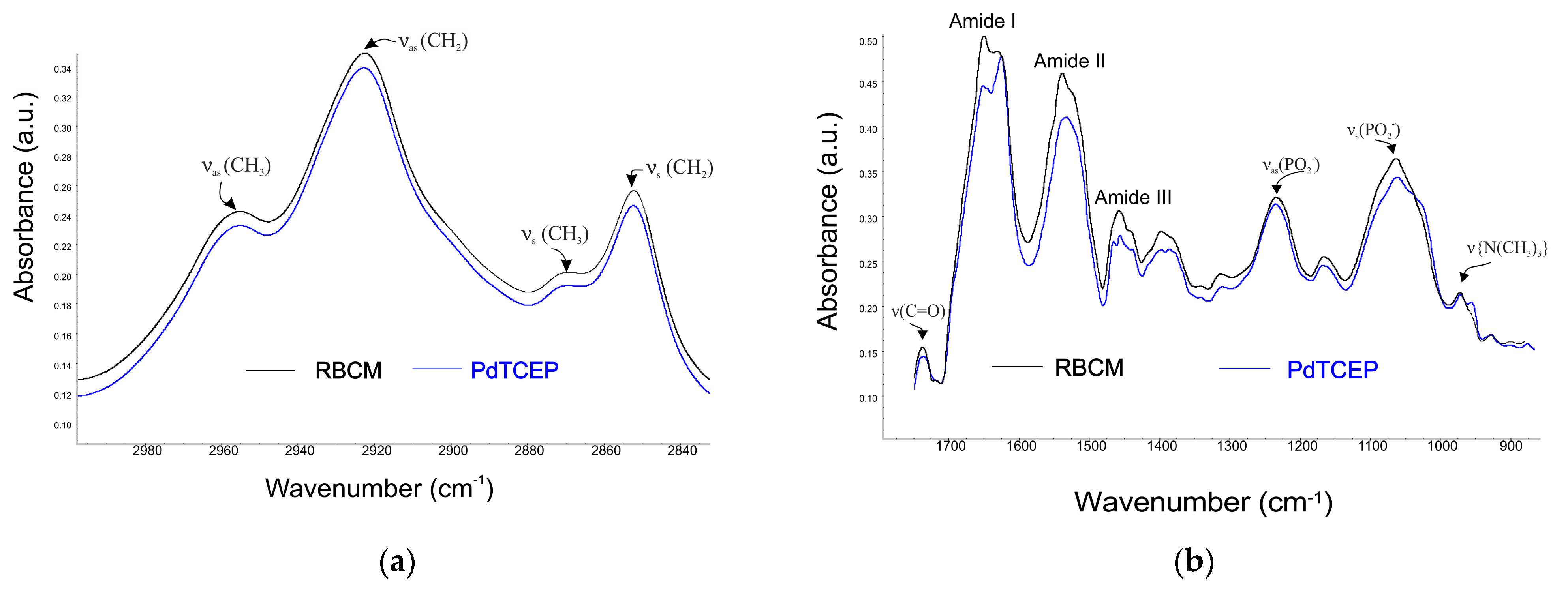 Molecules 30 00476 g008