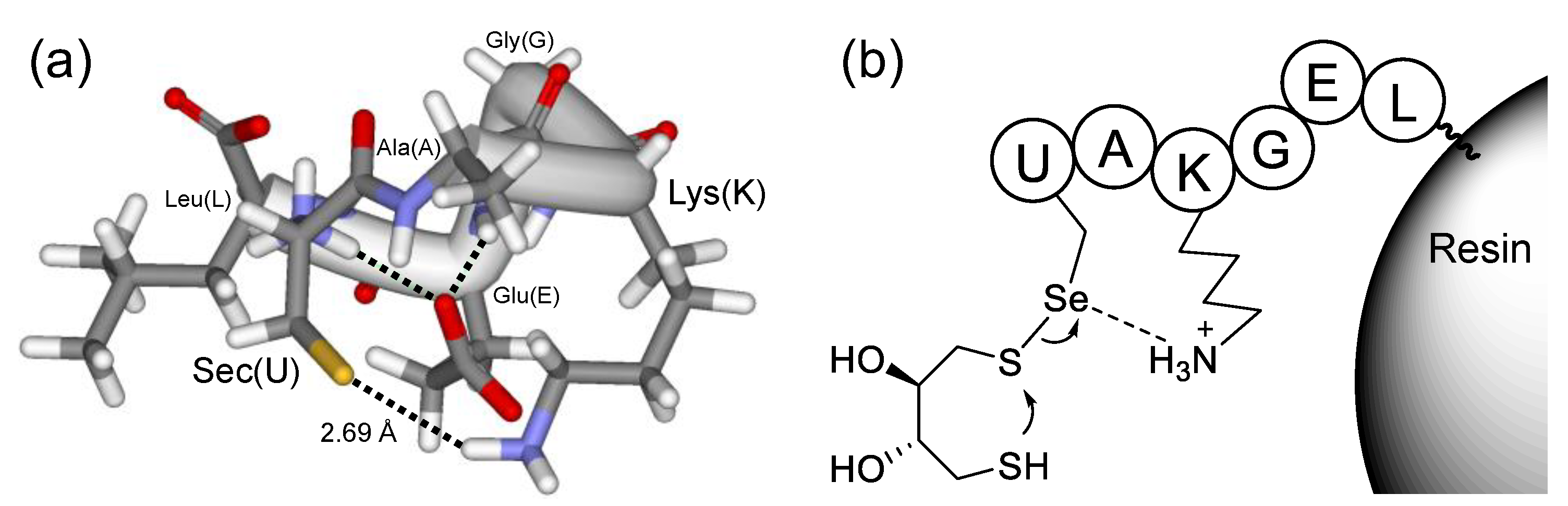 Molecules 30 00480 g004 Molecules 30 00480 g004