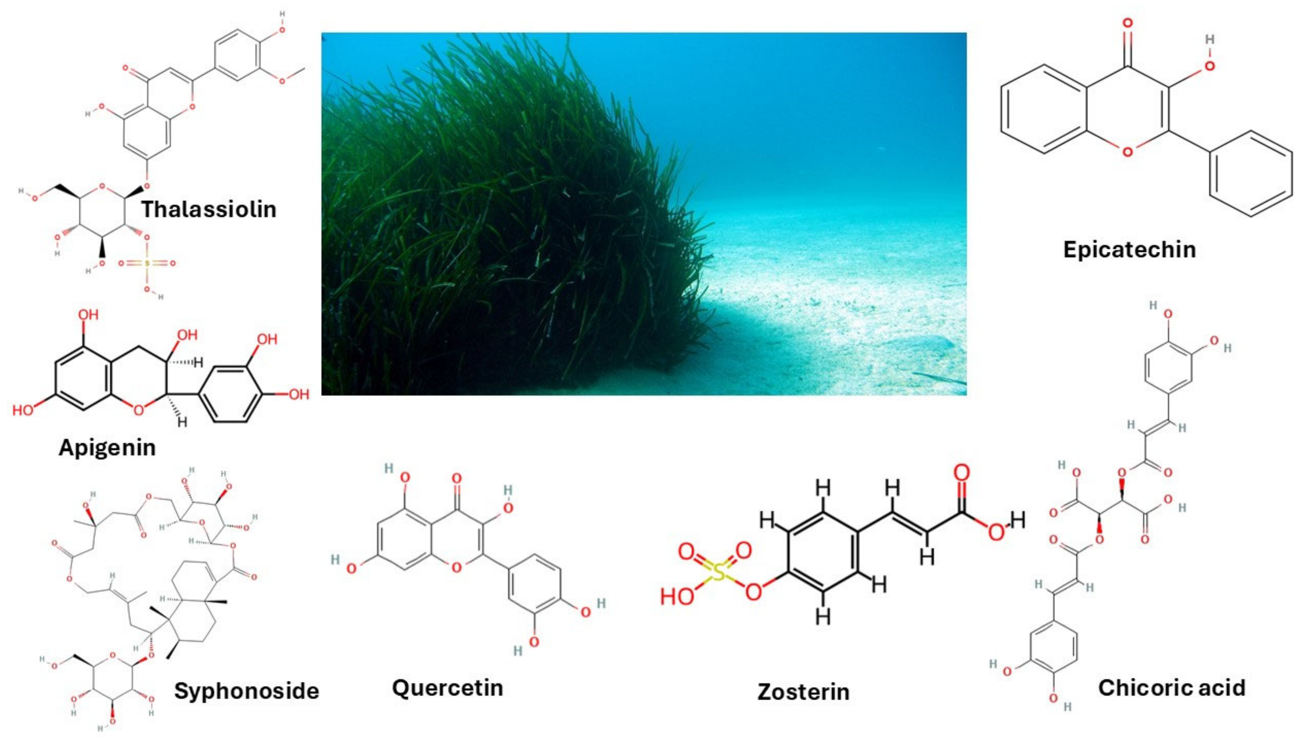 Molecules 30 00485 g002