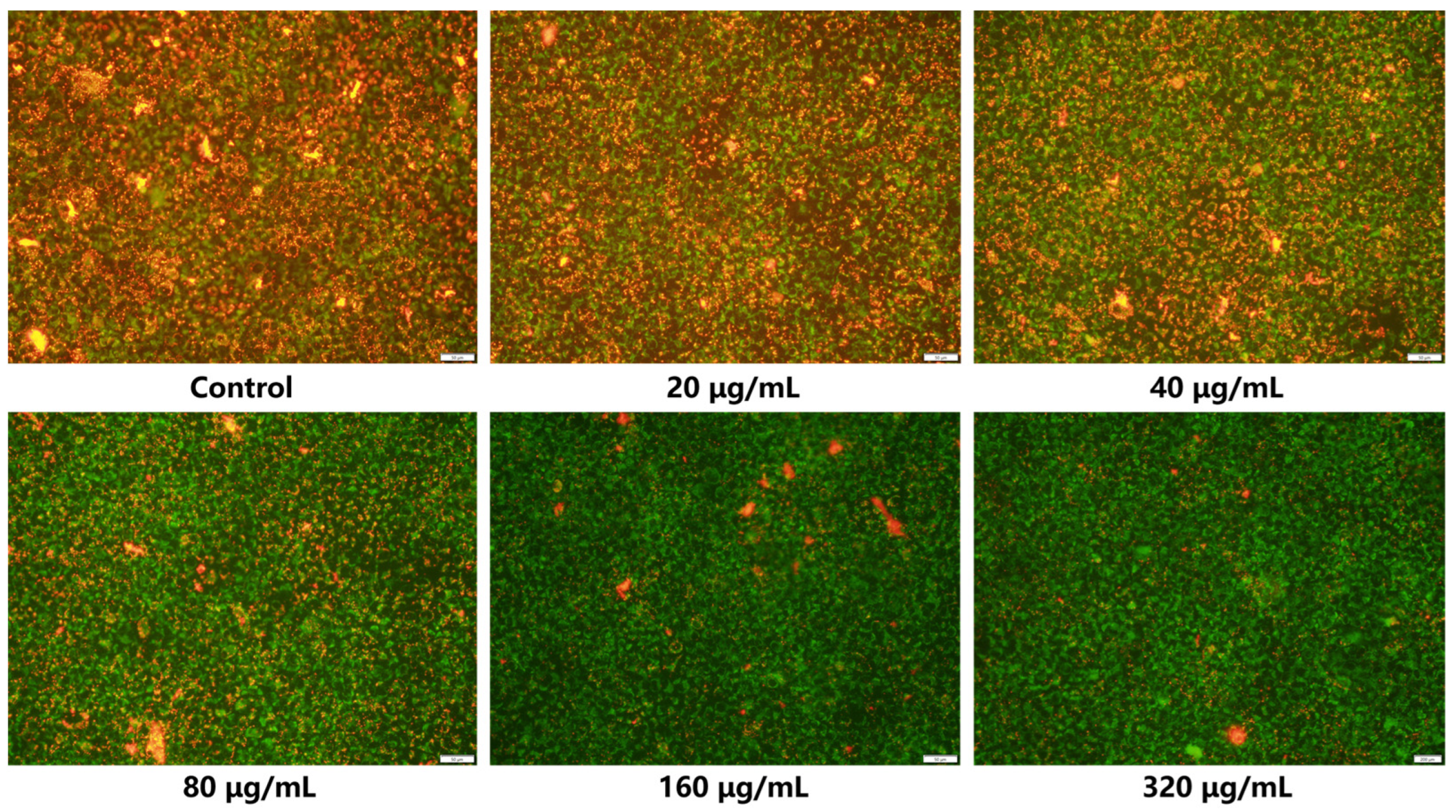 Molecules 30 00487 g011