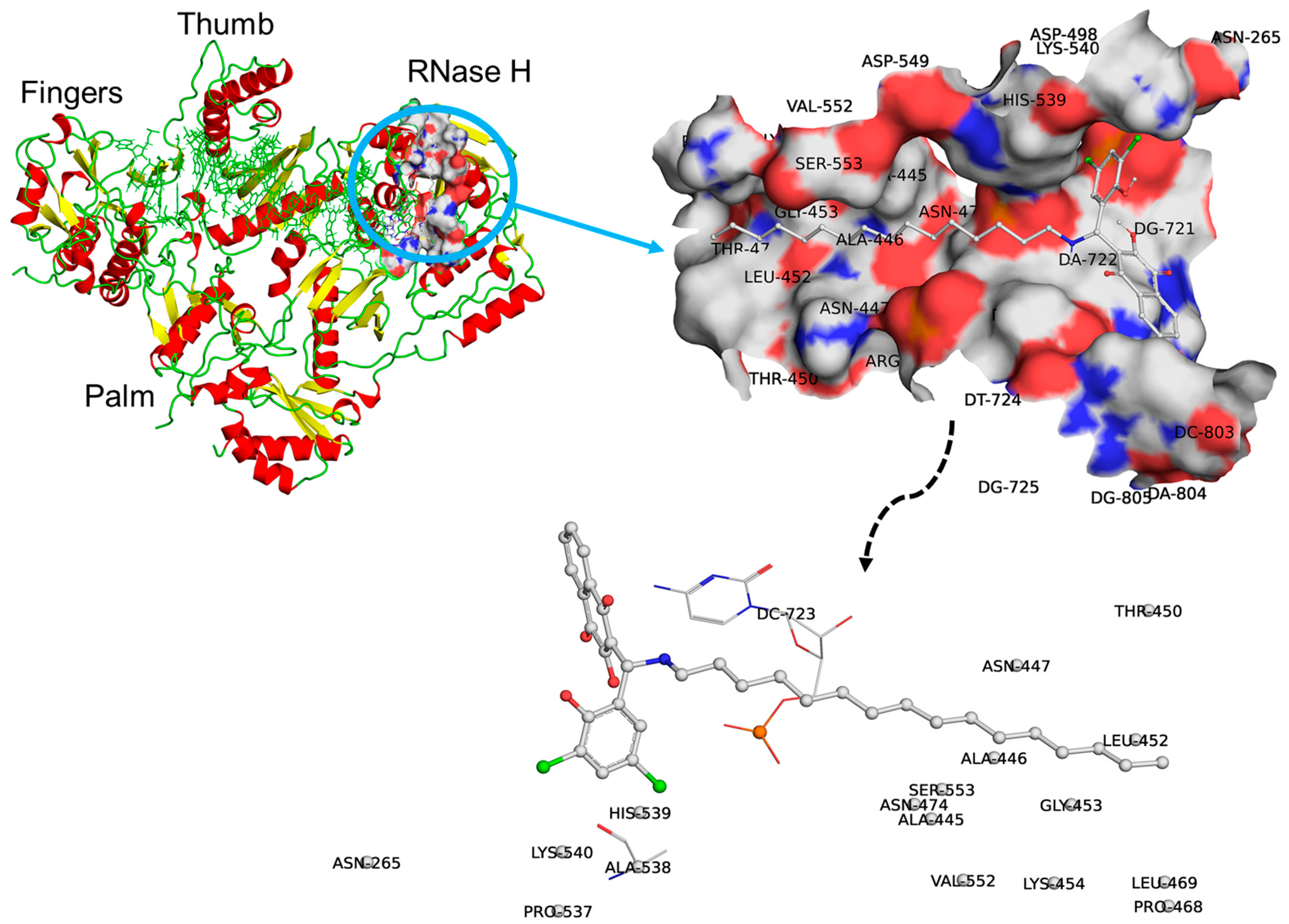 Molecules 30 00495 g003