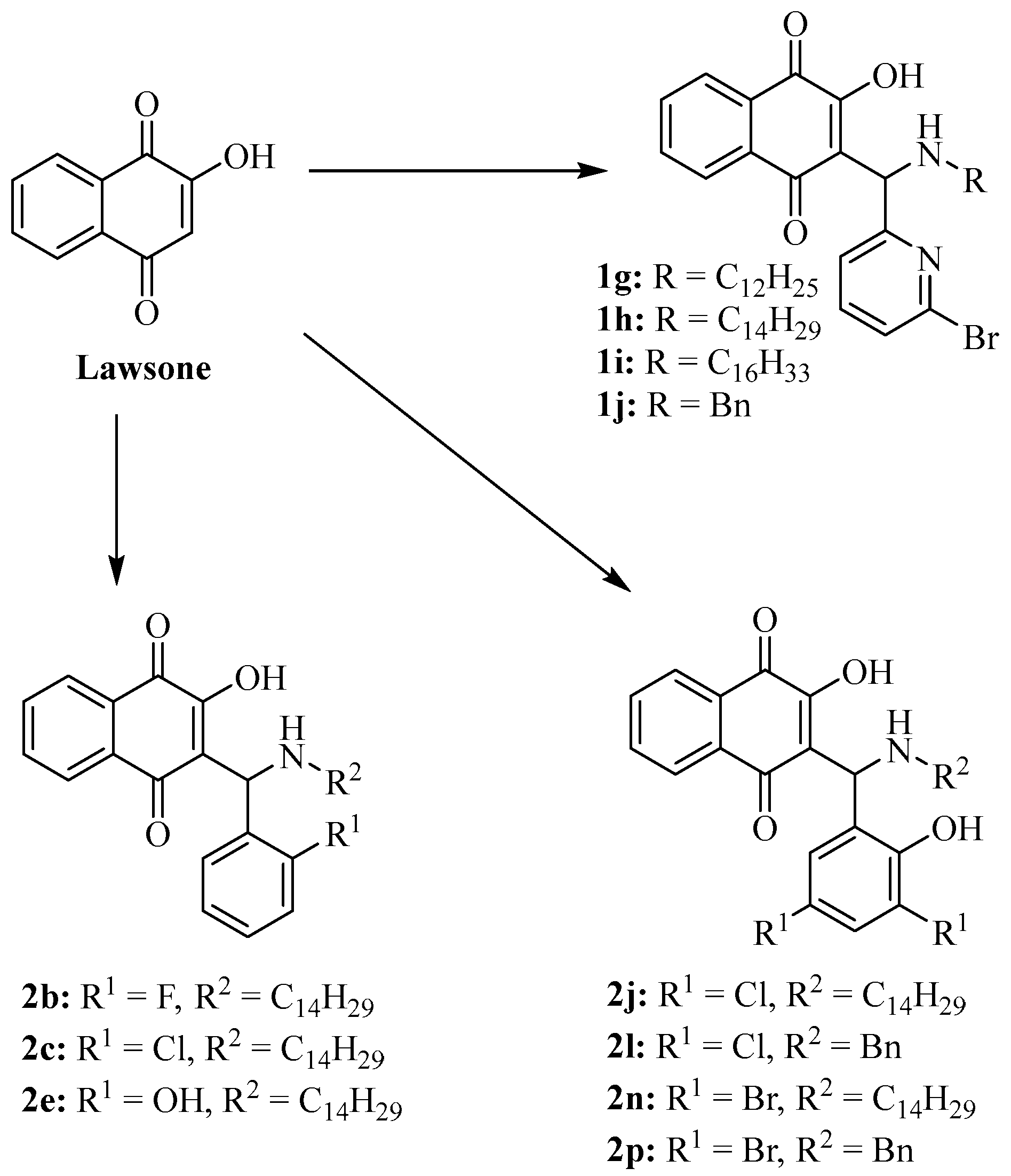 Molecules 30 00495 sch001