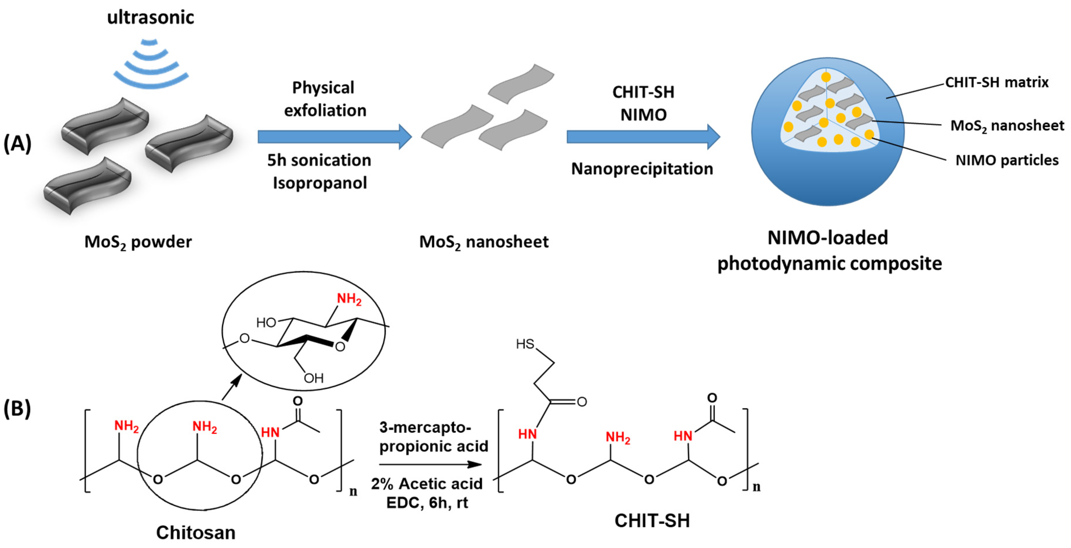Molecules 30 00497 g001