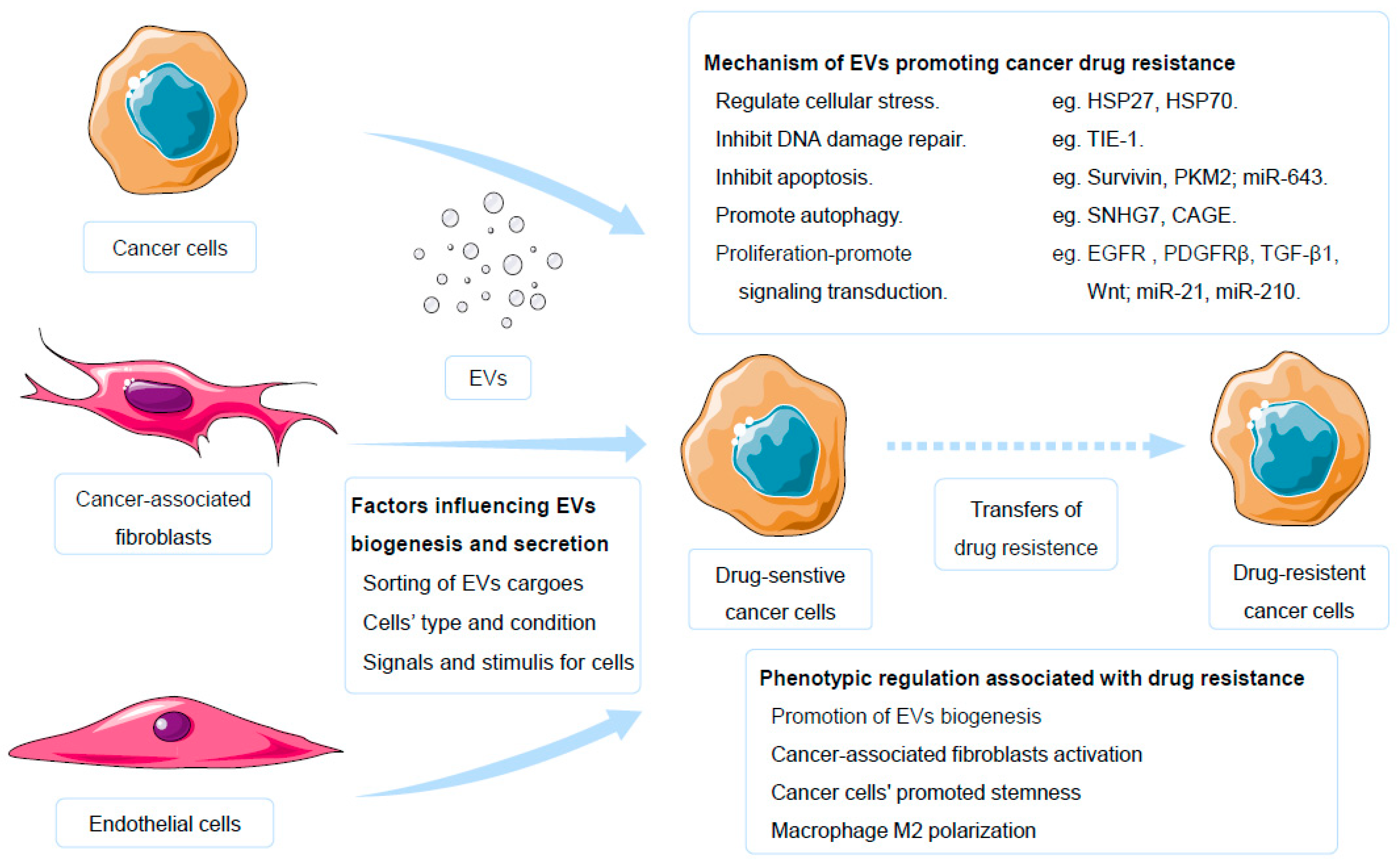Molecules 30 00498 g001