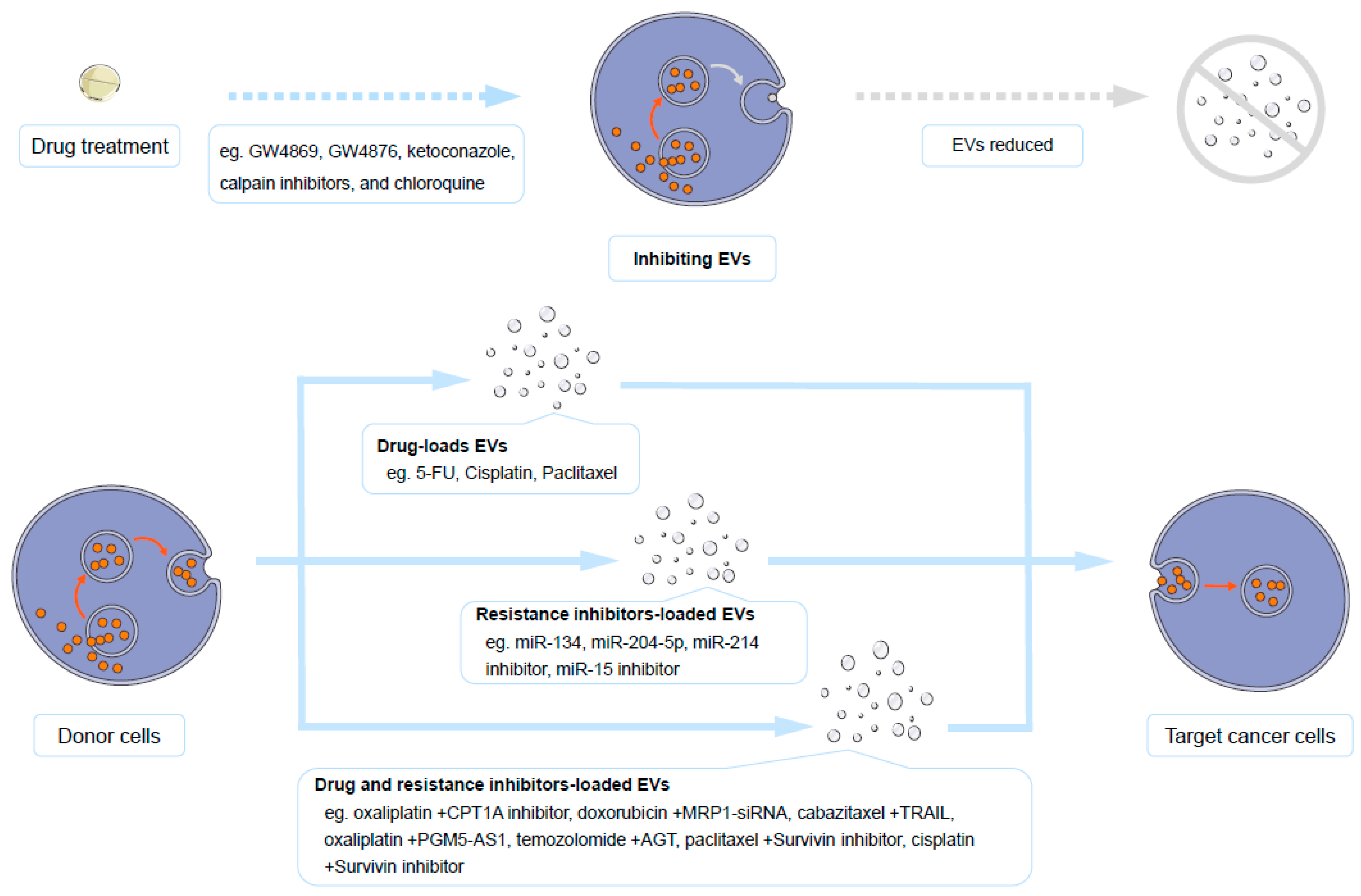 Molecules 30 00498 g003