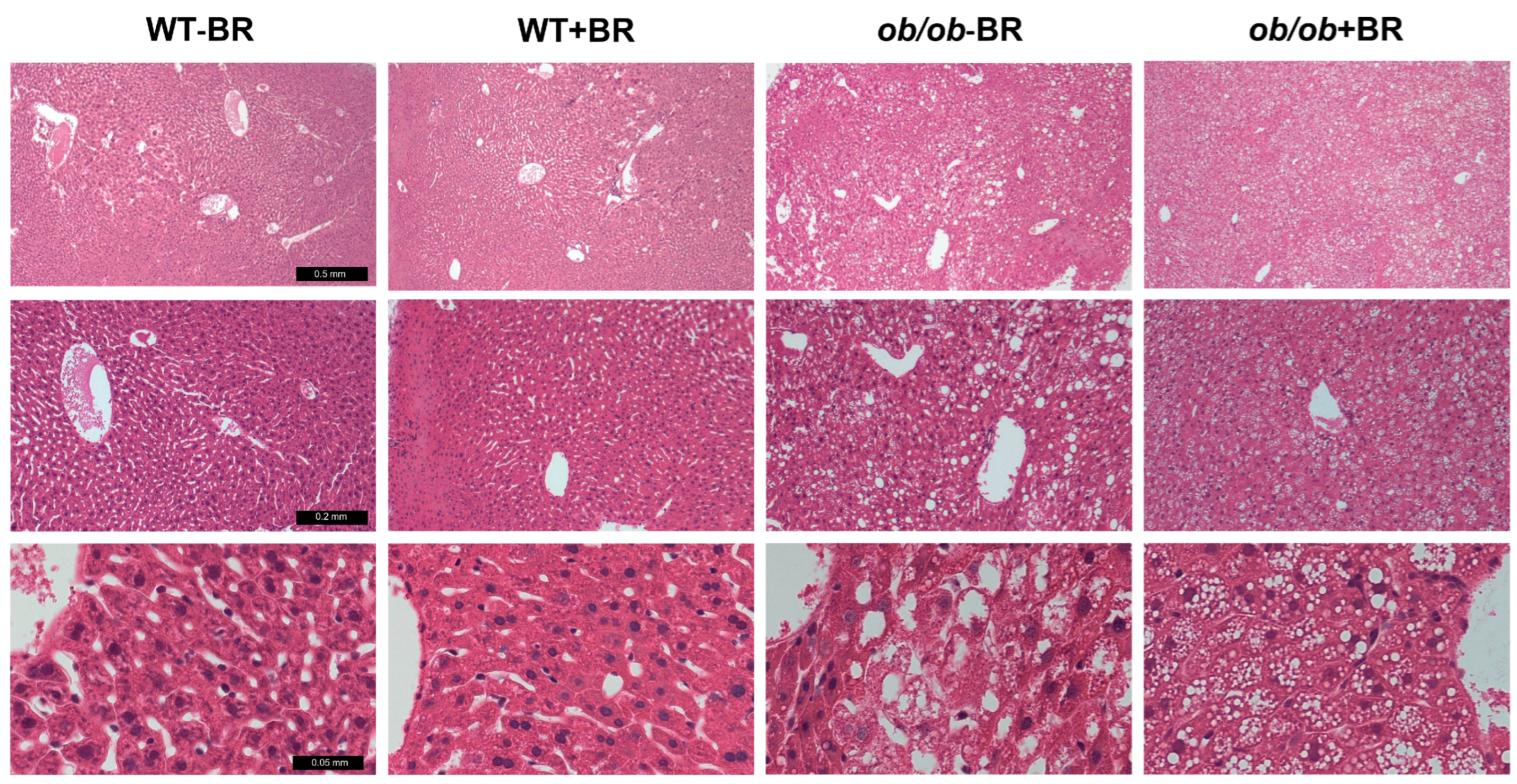 Molecules 30 00501 g006
