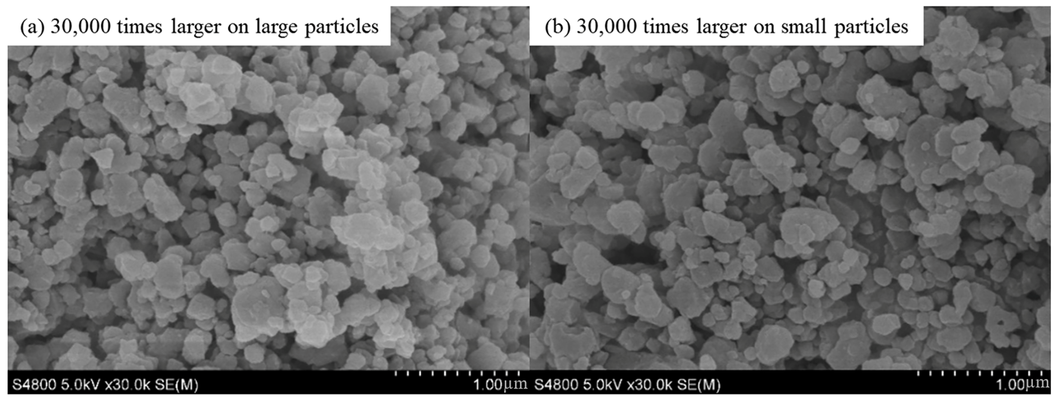 Molecules 30 00502 g001 Molecules 30 00502 g001