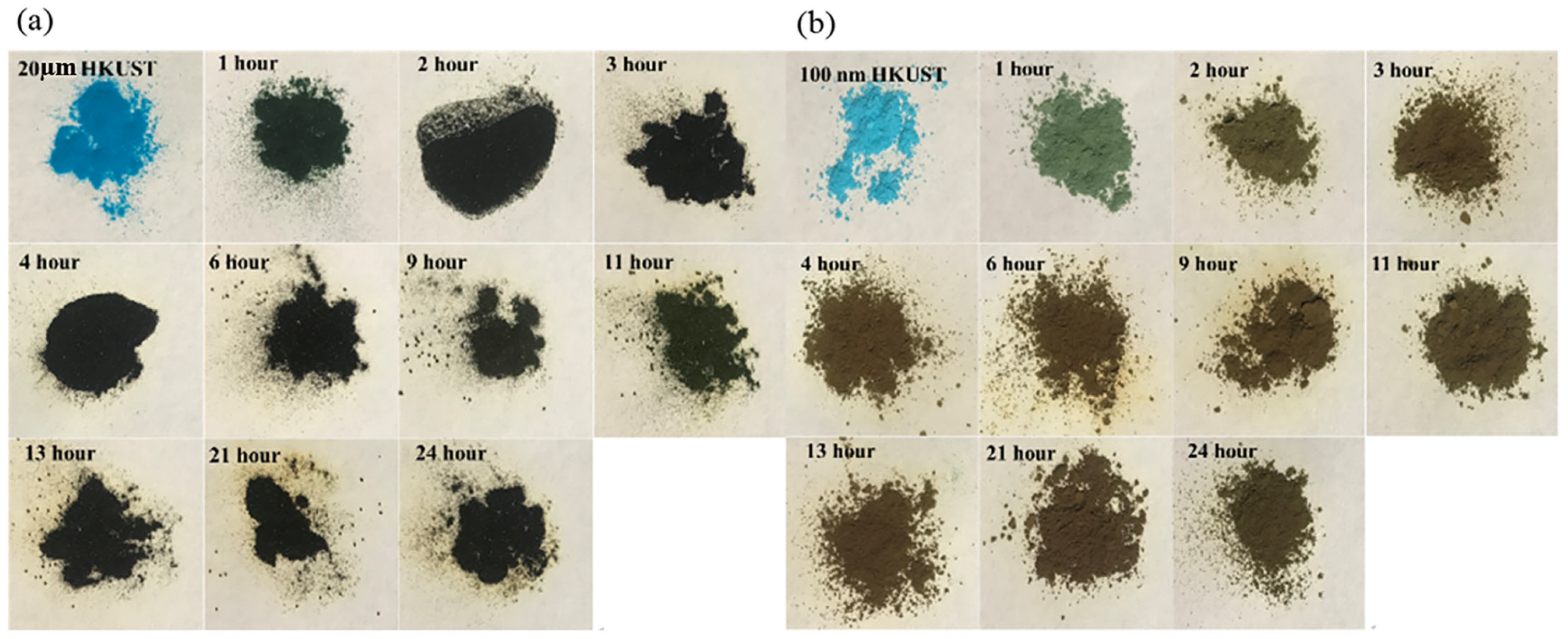 Molecules 30 00502 g005 Molecules 30 00502 g005