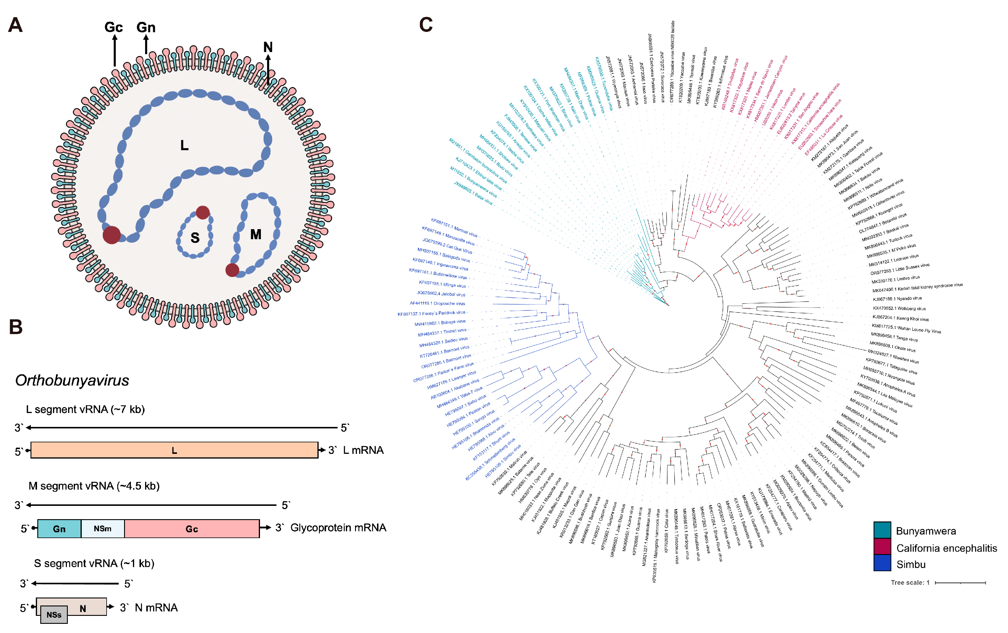 Molecules 30 00503 g001 Molecules 30 00503 g001