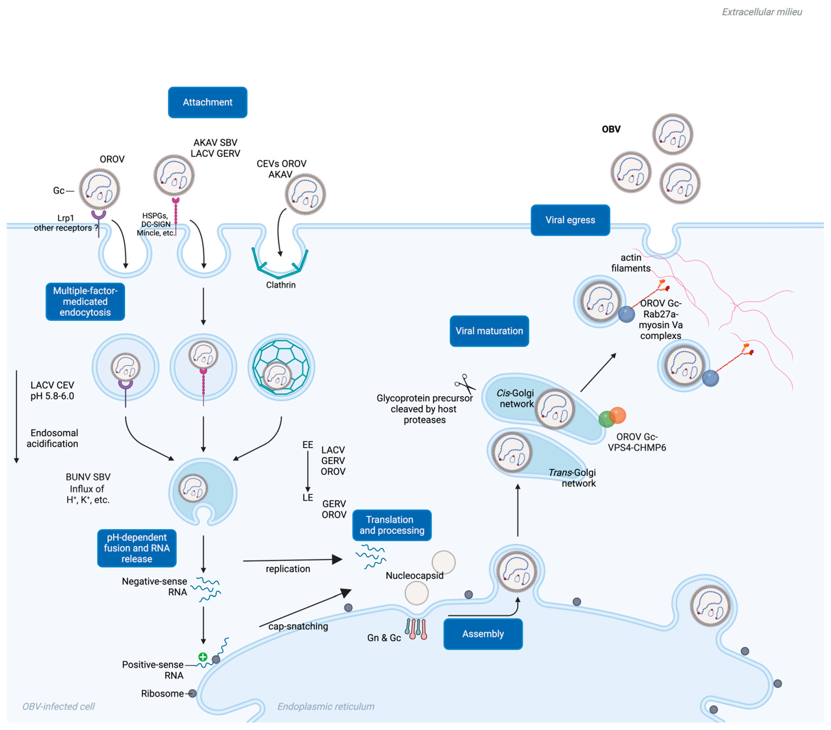 Molecules 30 00503 g003 Molecules 30 00503 g003