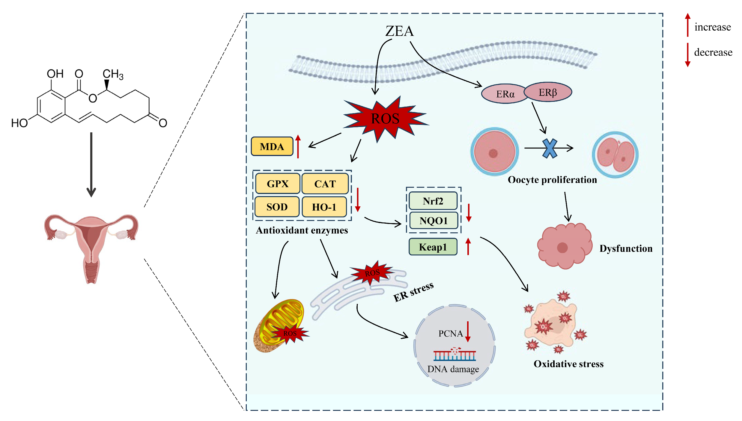Molecules 30 00505 g003