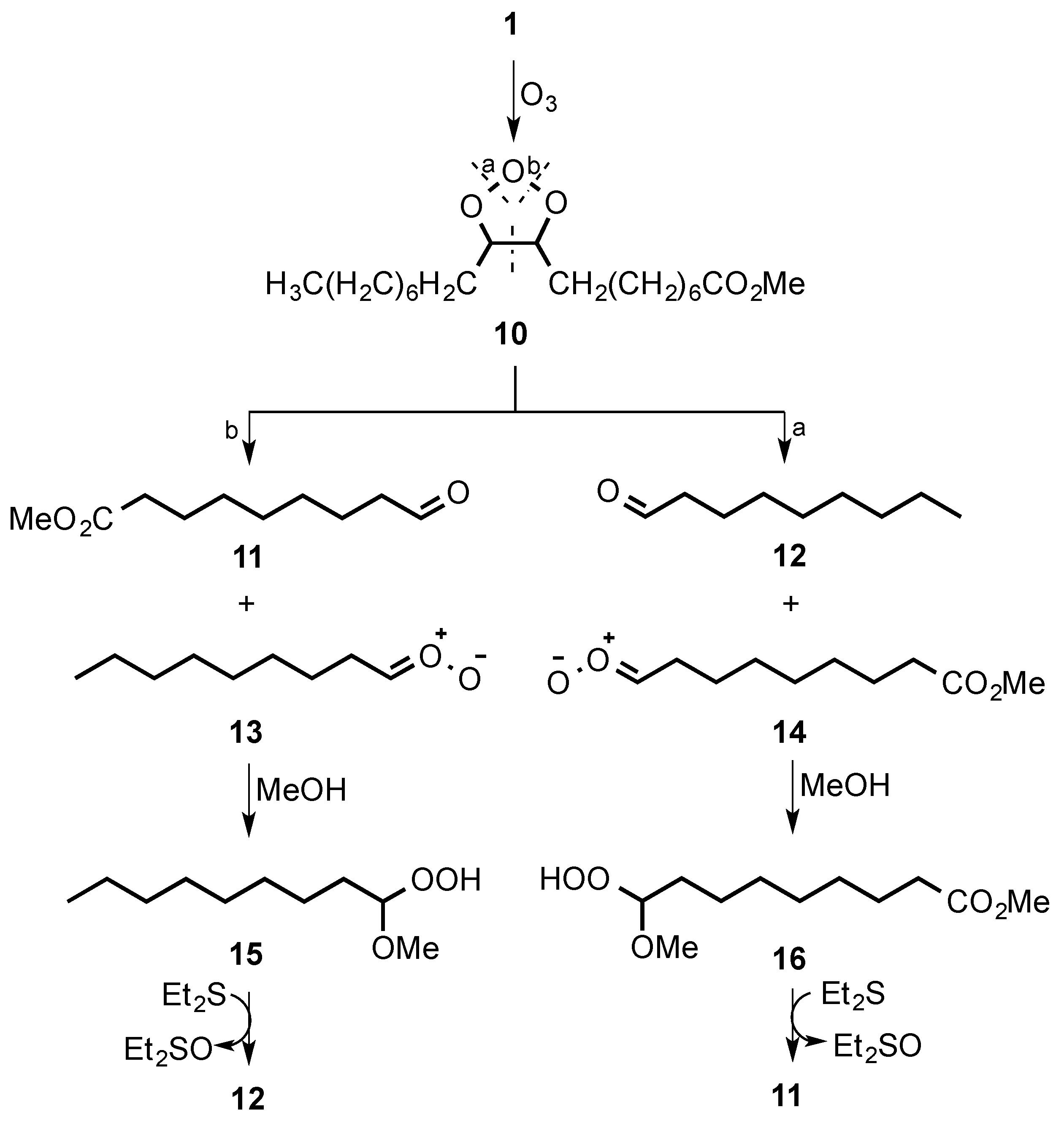 Molecules 30 00507 sch004