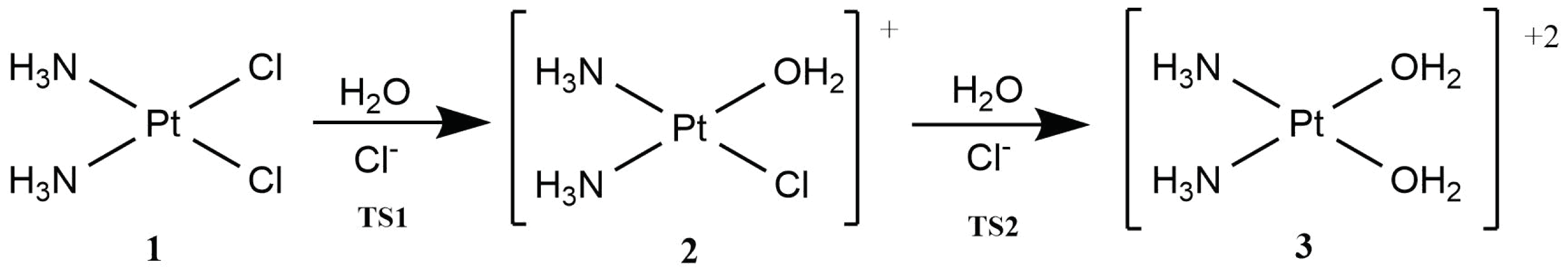Molecules 30 00510 g001