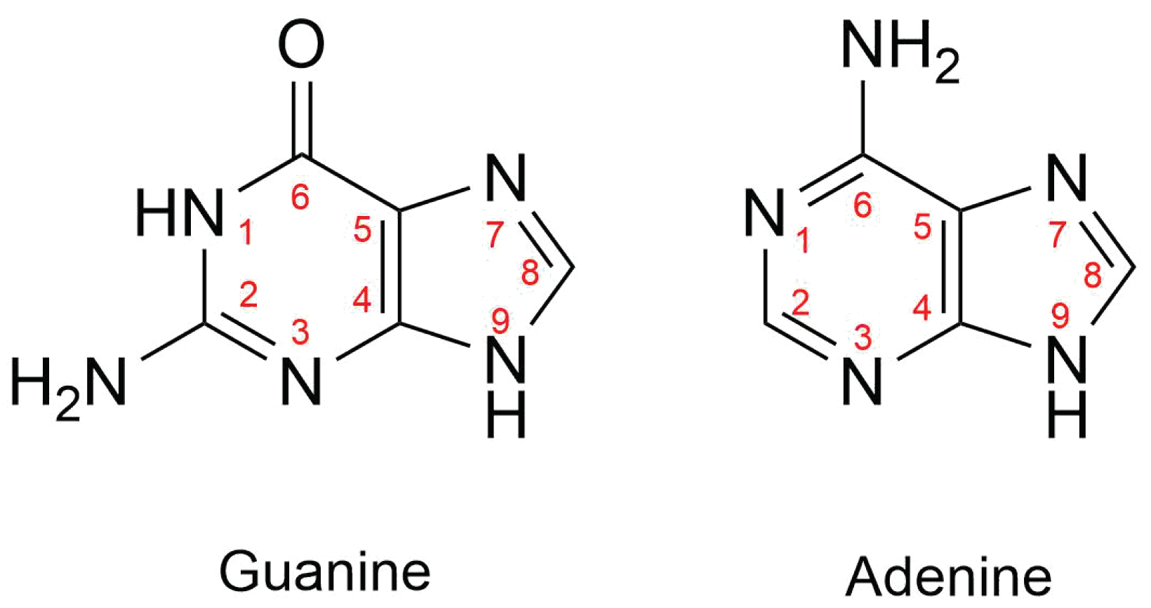 Molecules 30 00510 g002