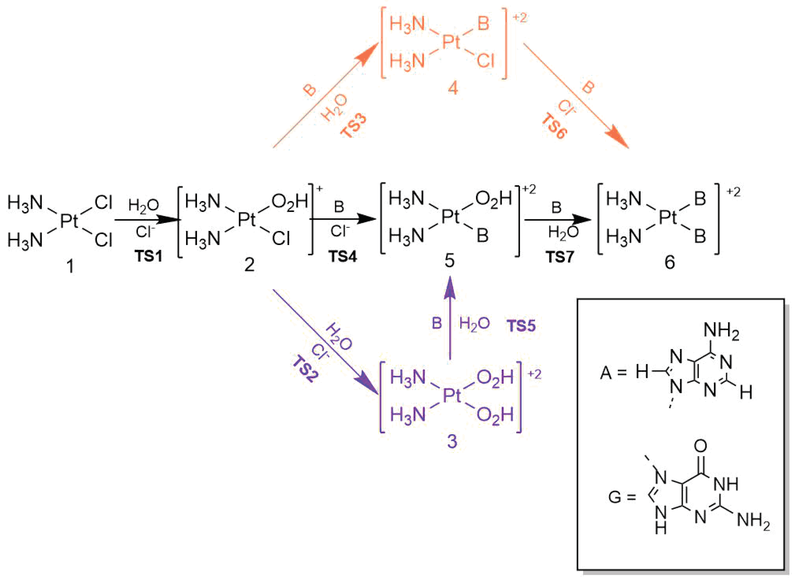 Molecules 30 00510 g005