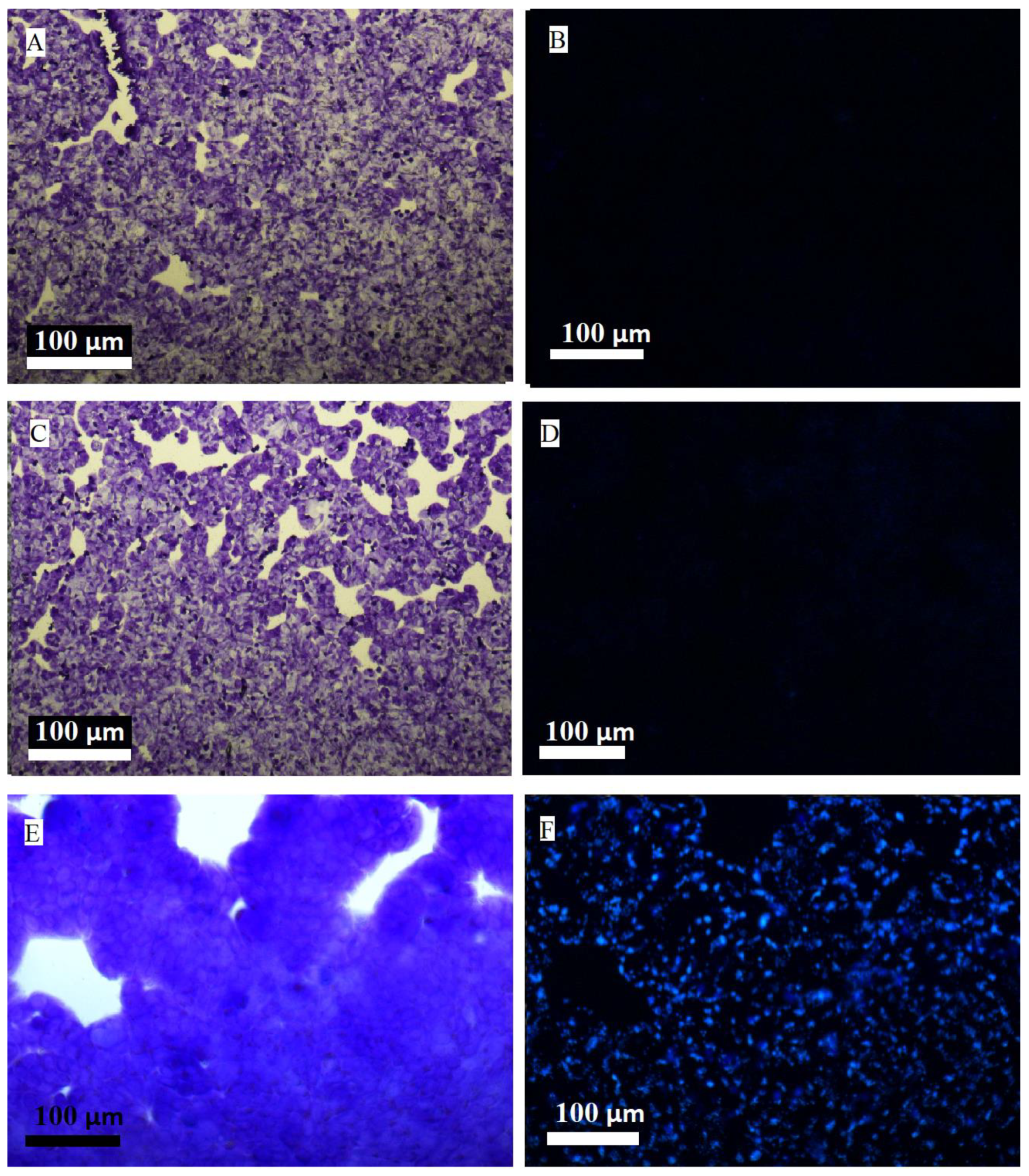Molecules 30 00516 g001