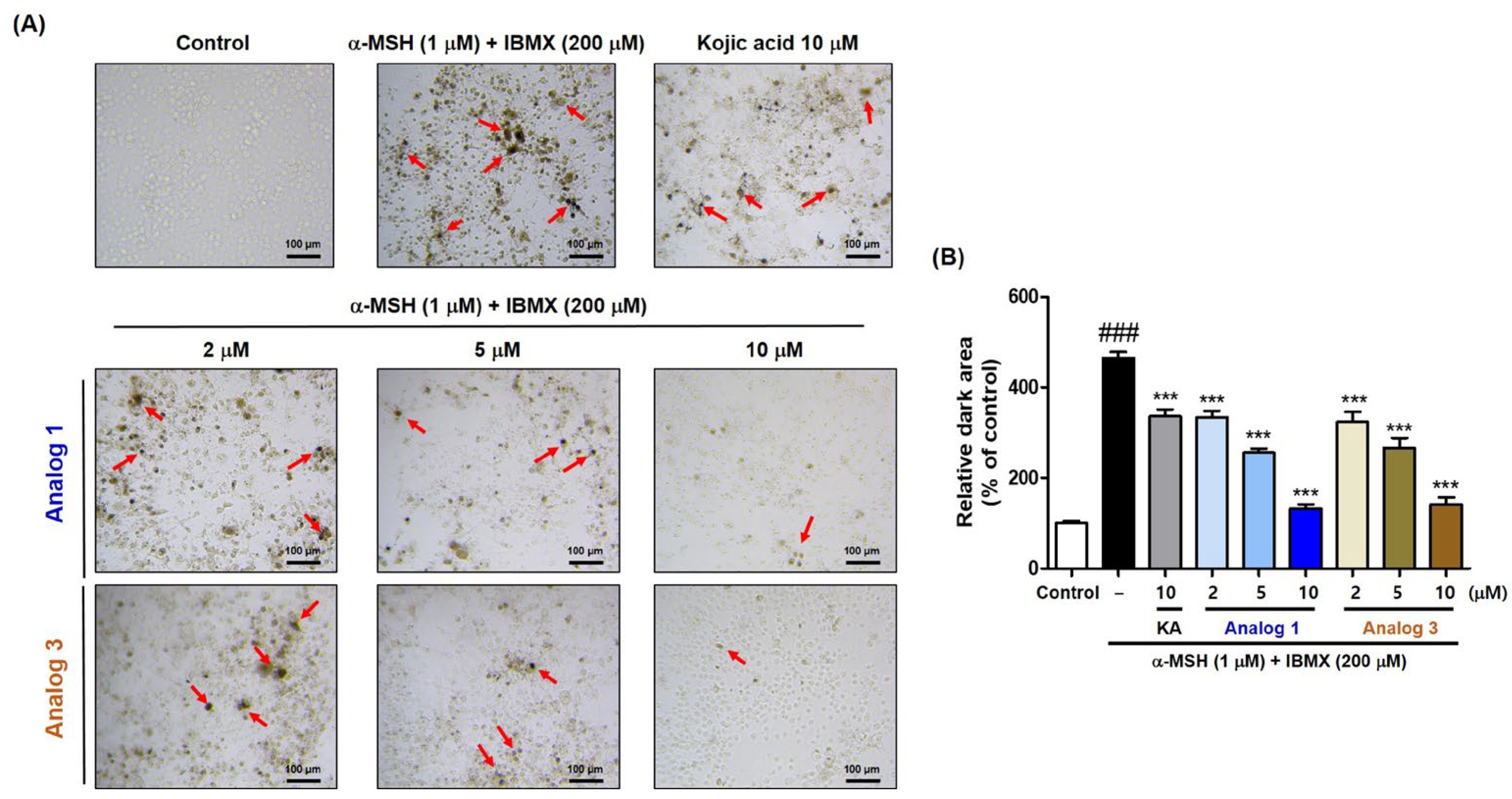 Molecules 30 00517 g008