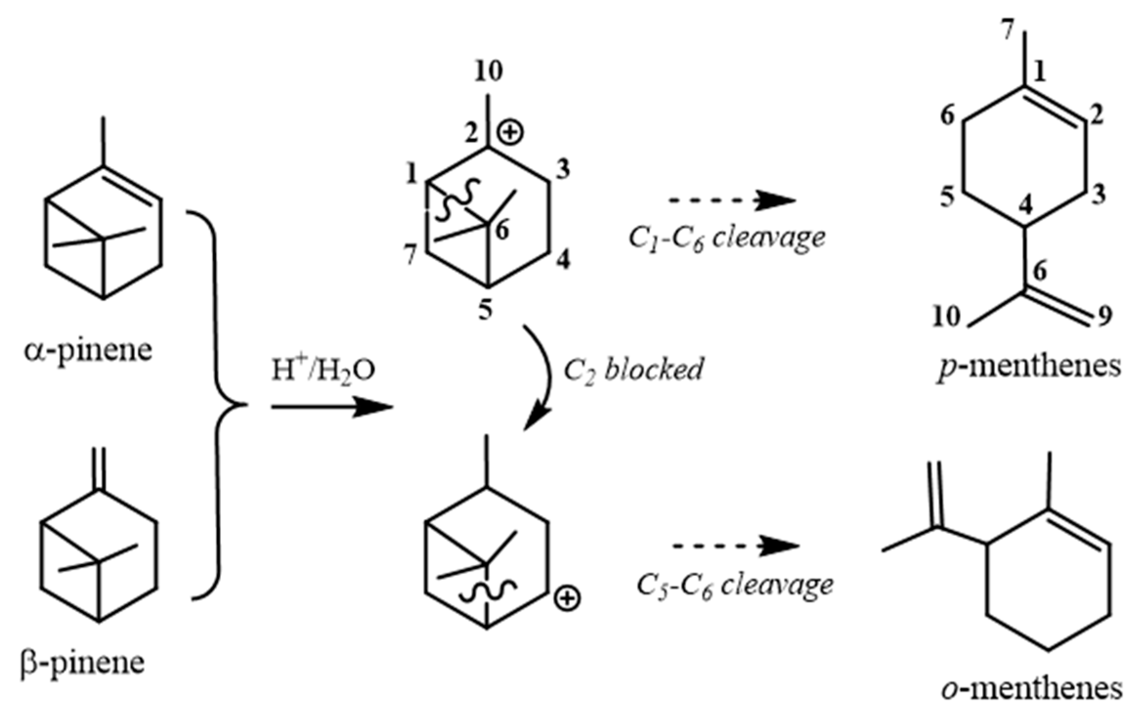 Molecules 30 00528 g003