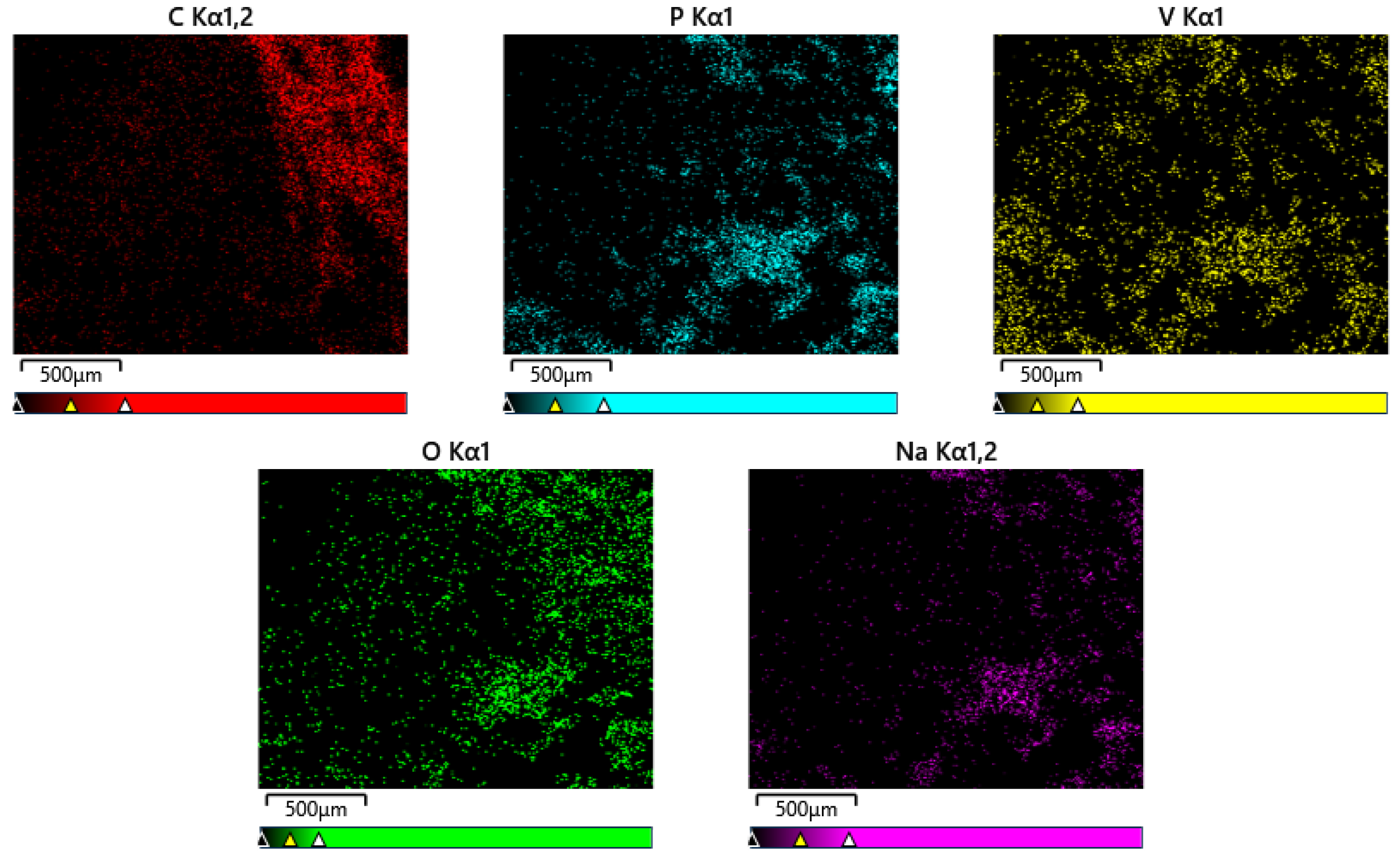 Molecules 30 00529 g004