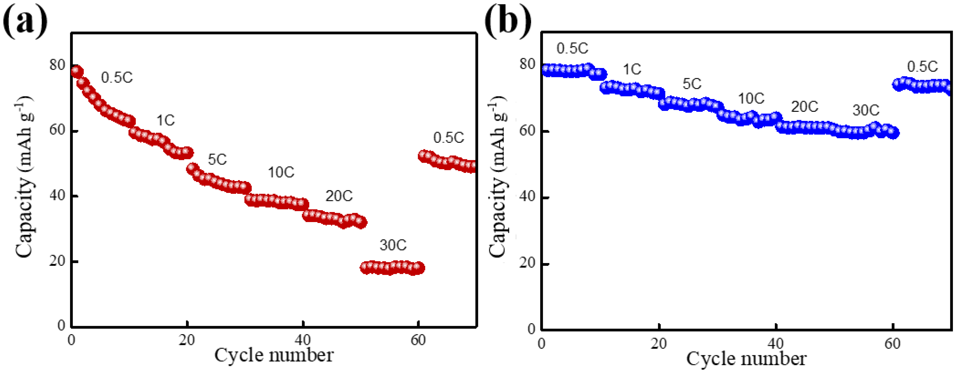 Molecules 30 00529 g008
