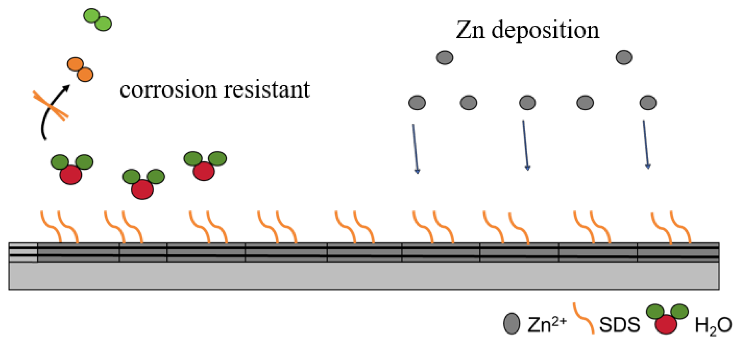 Molecules 30 00529 g012