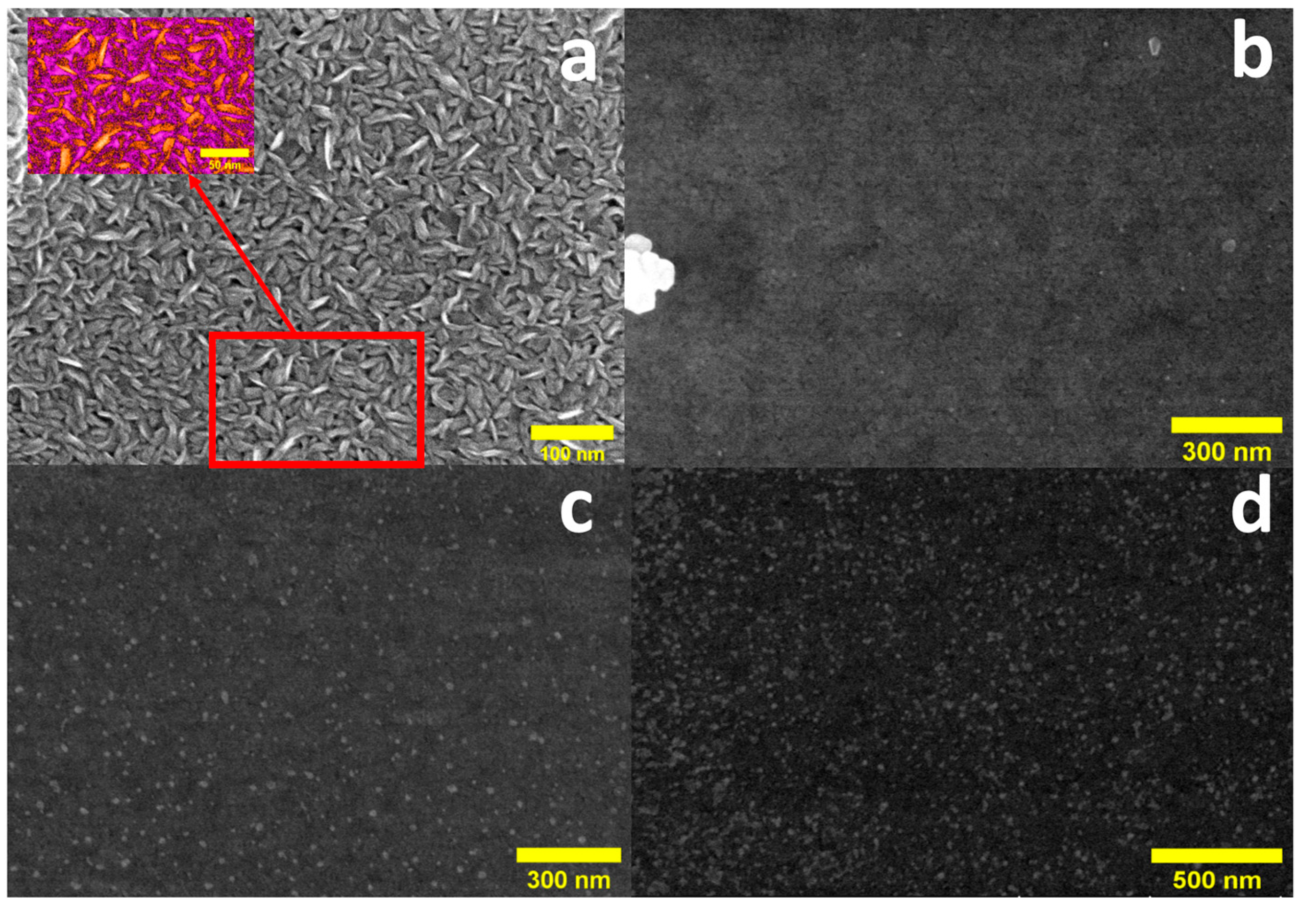 Molecules 30 00530 g001