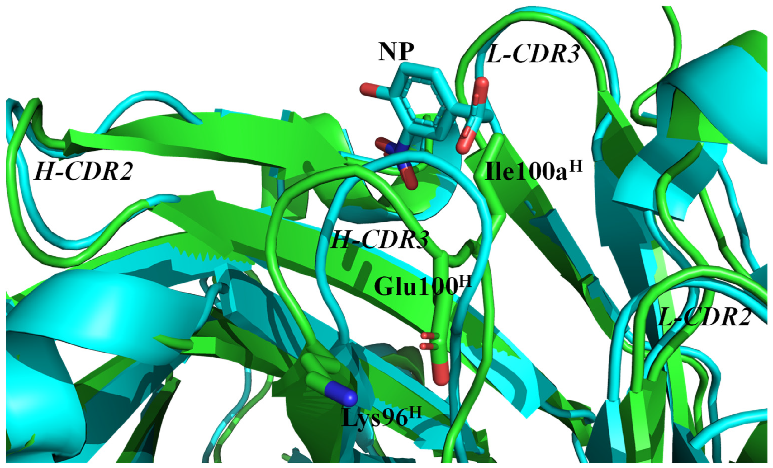 Molecules 30 00532 g006