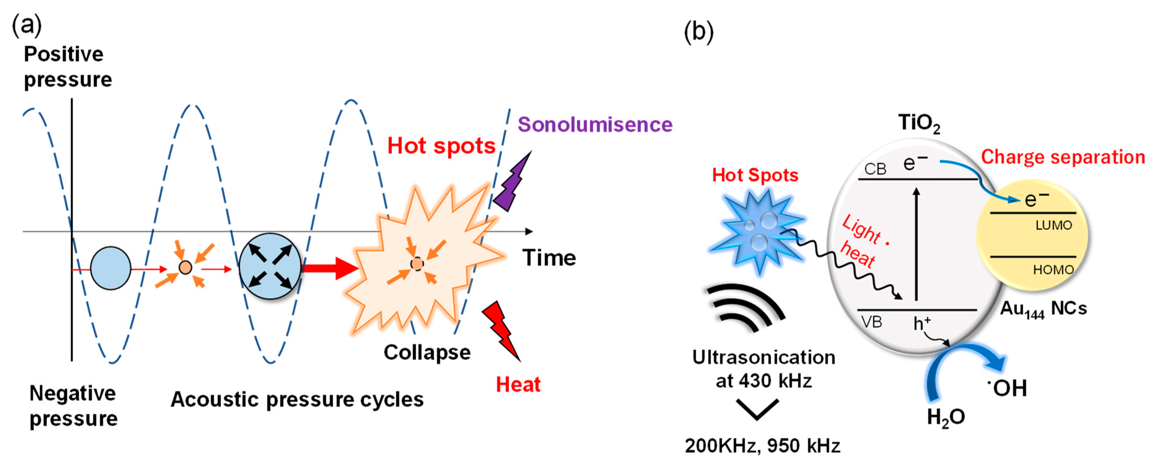 Molecules 30 00541 g004