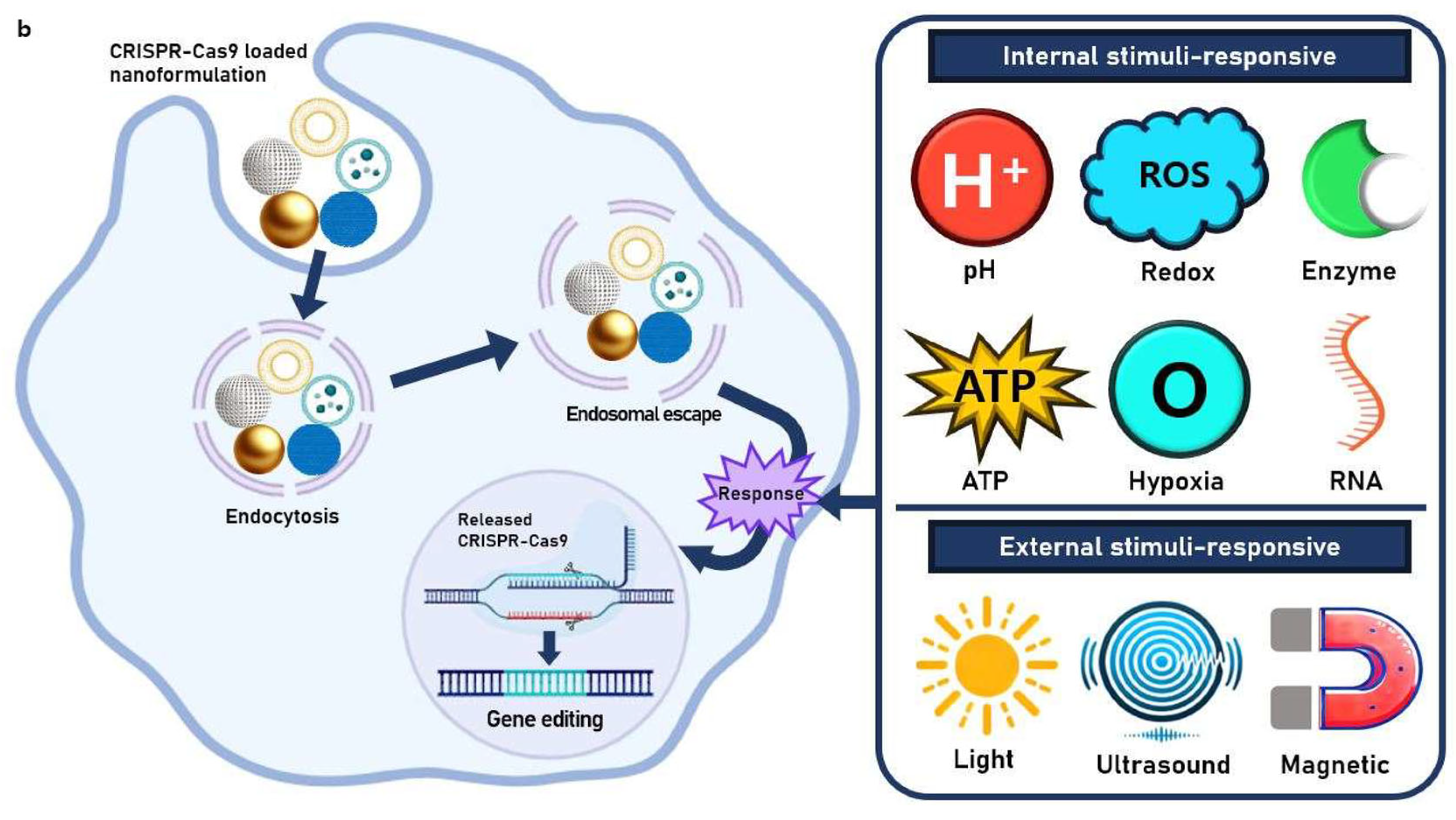 Molecules 30 00542 g001b
