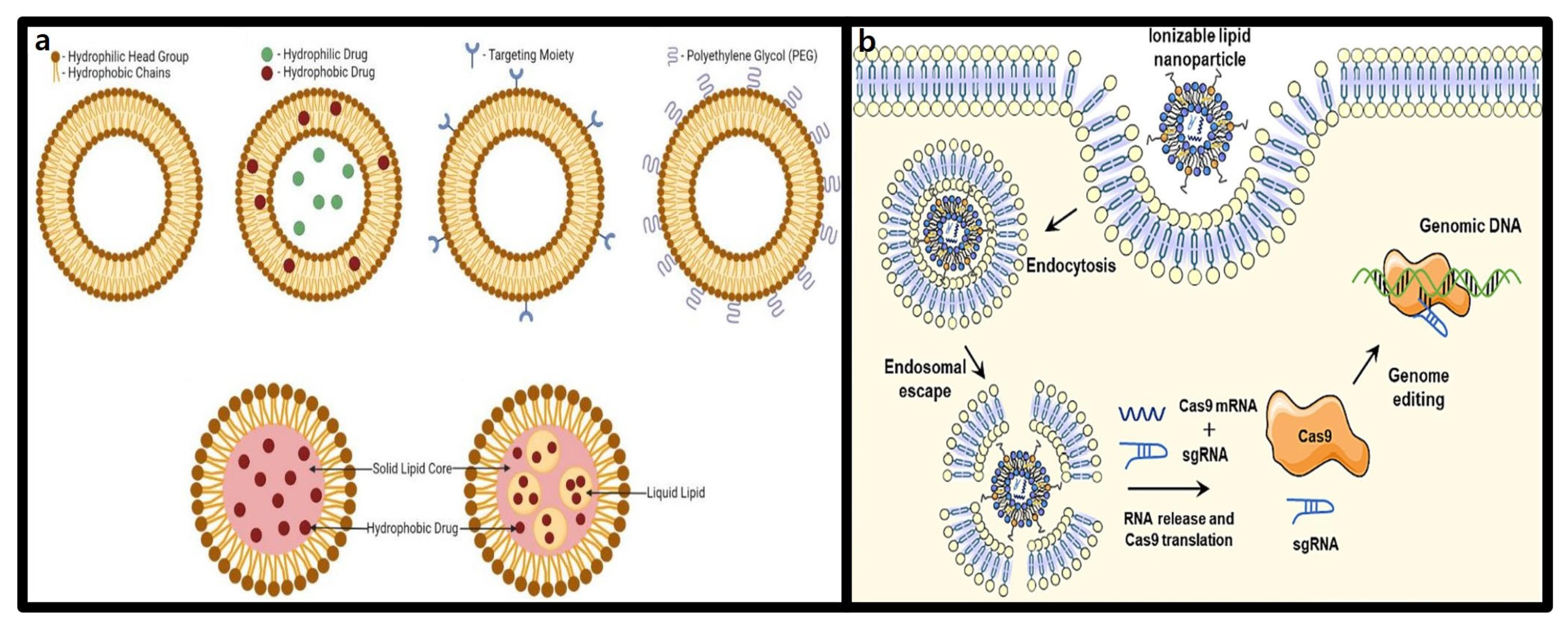 Molecules 30 00542 g003