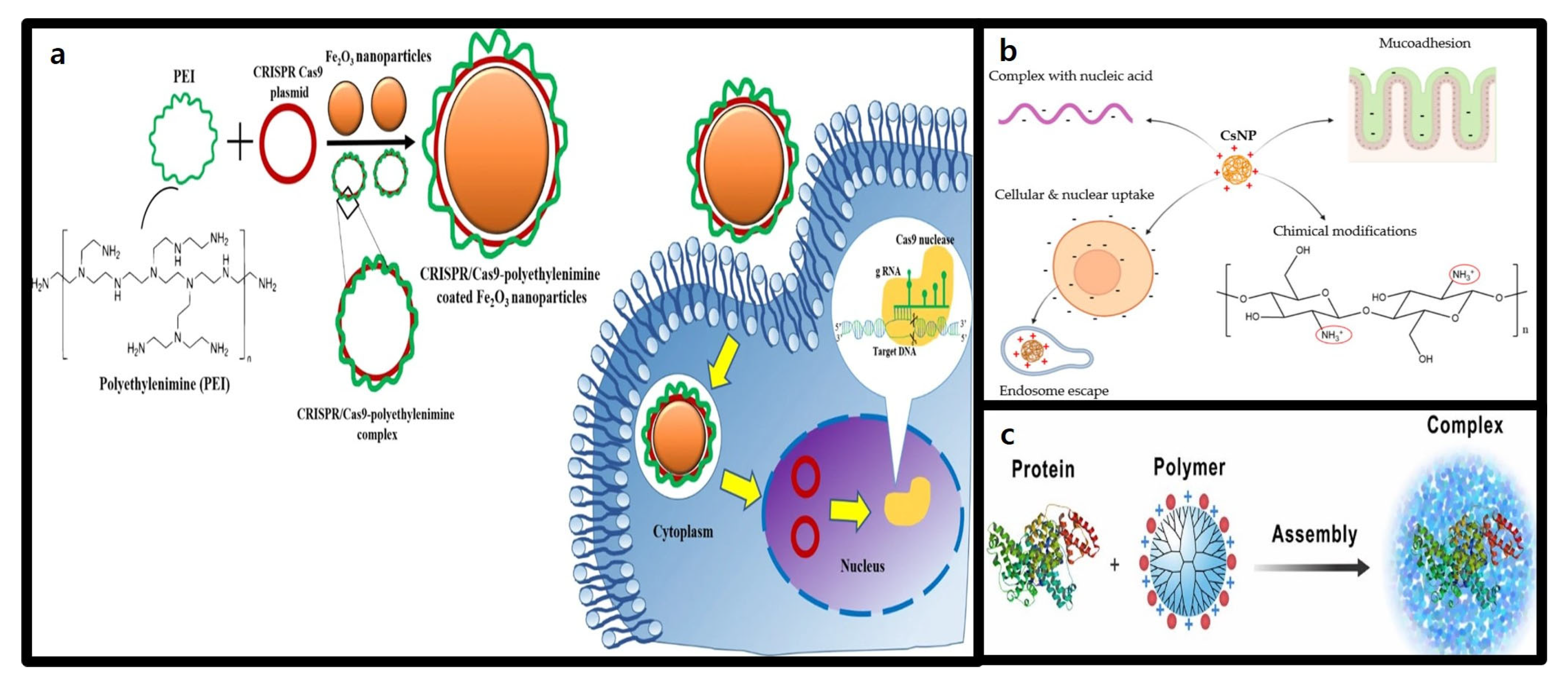 Molecules 30 00542 g005