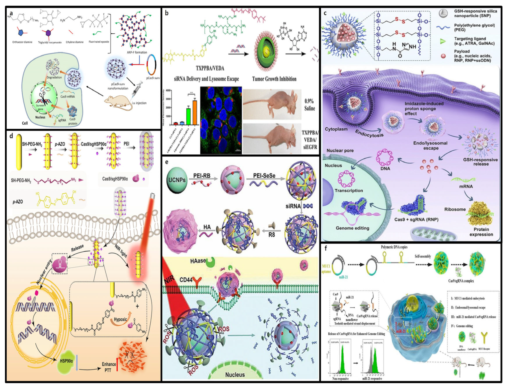 Molecules 30 00542 g008