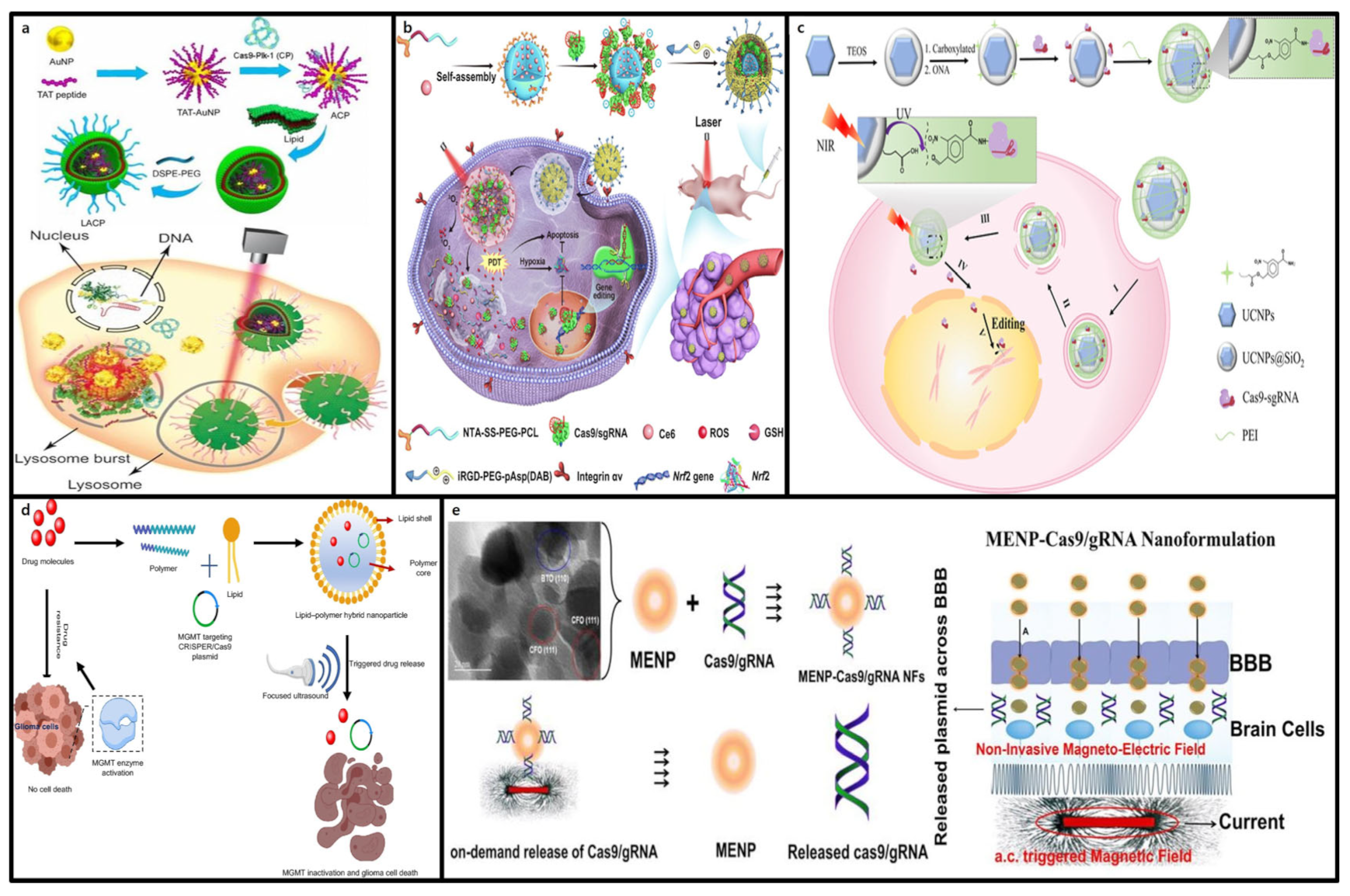 Molecules 30 00542 g009