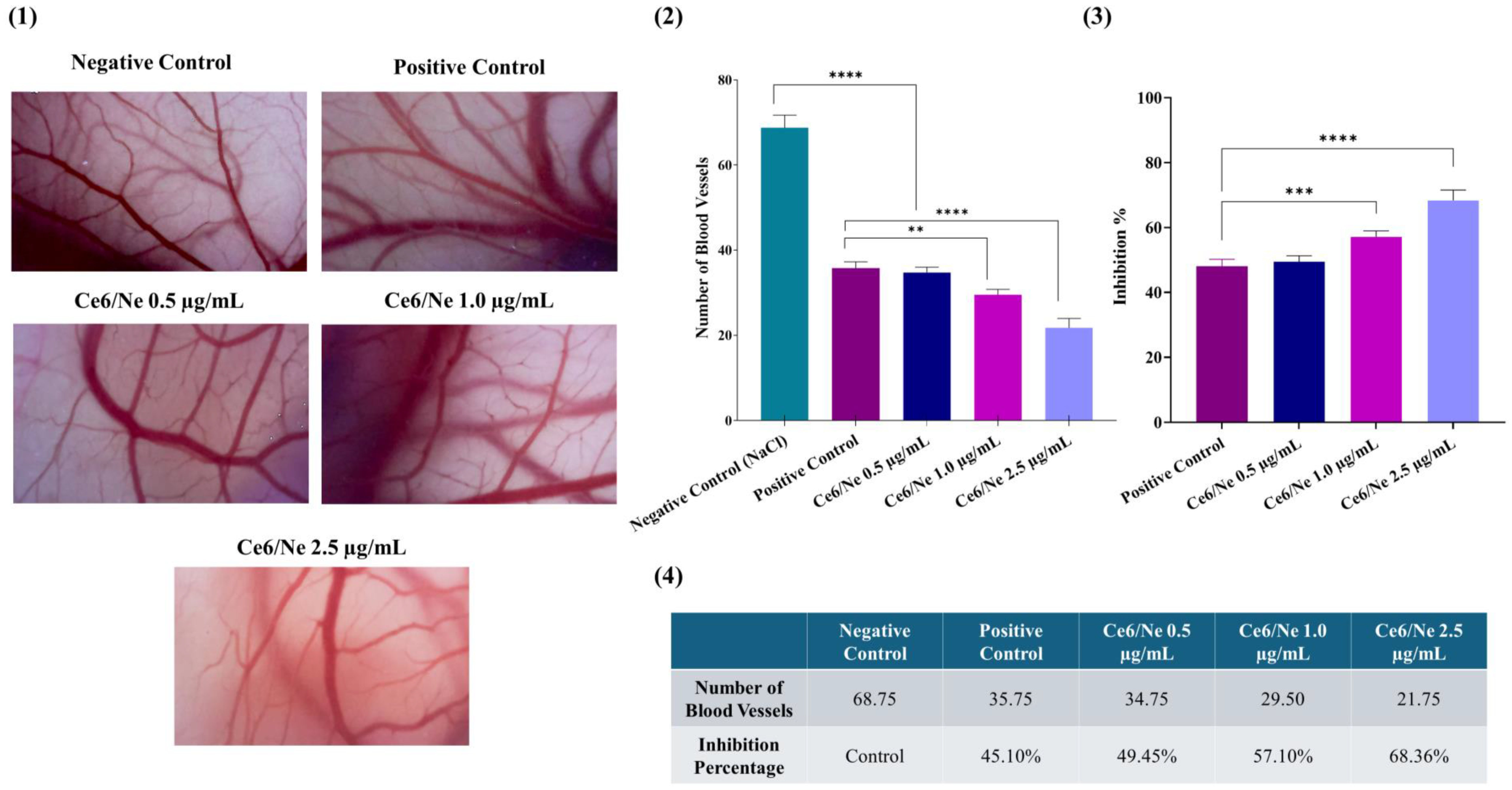Molecules 30 00544 g007