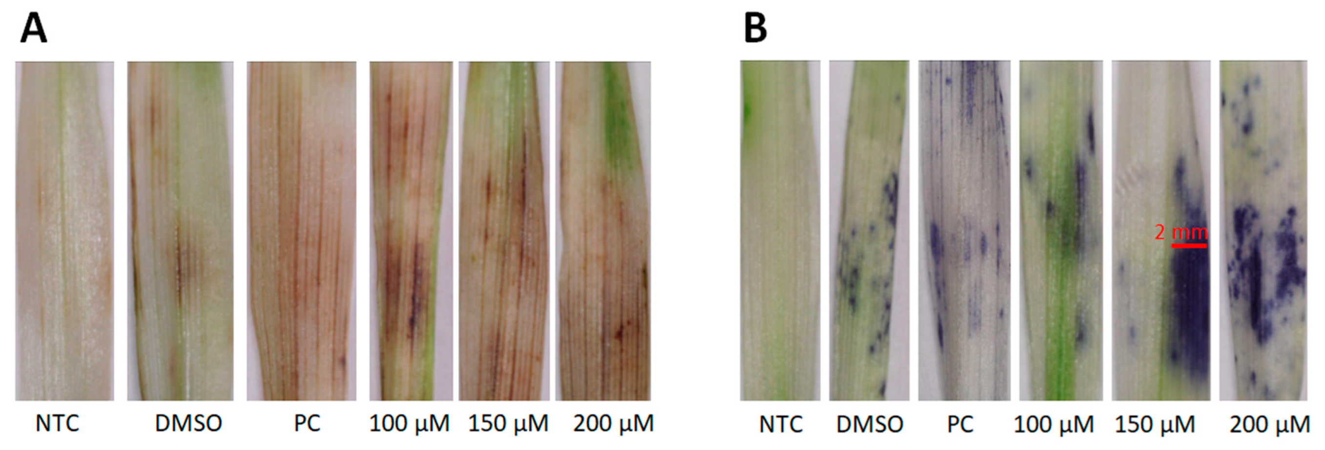 Molecules 30 00545 g001 Molecules 30 00545 g001