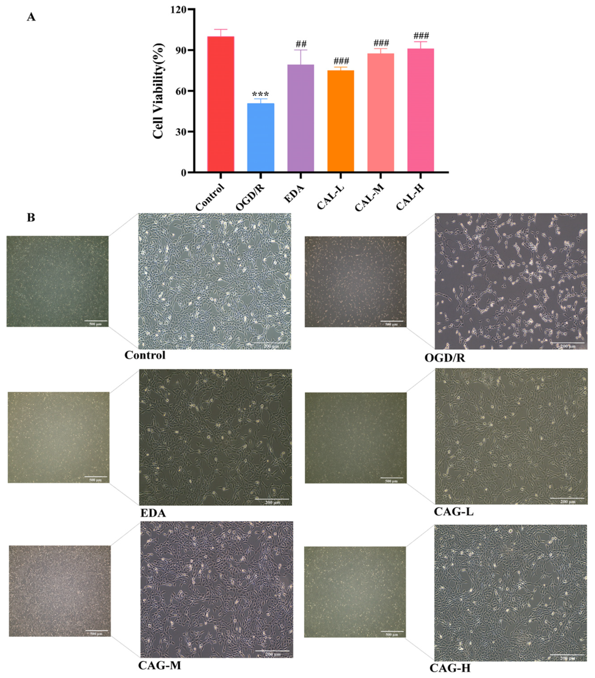 Molecules 30 00549 g002