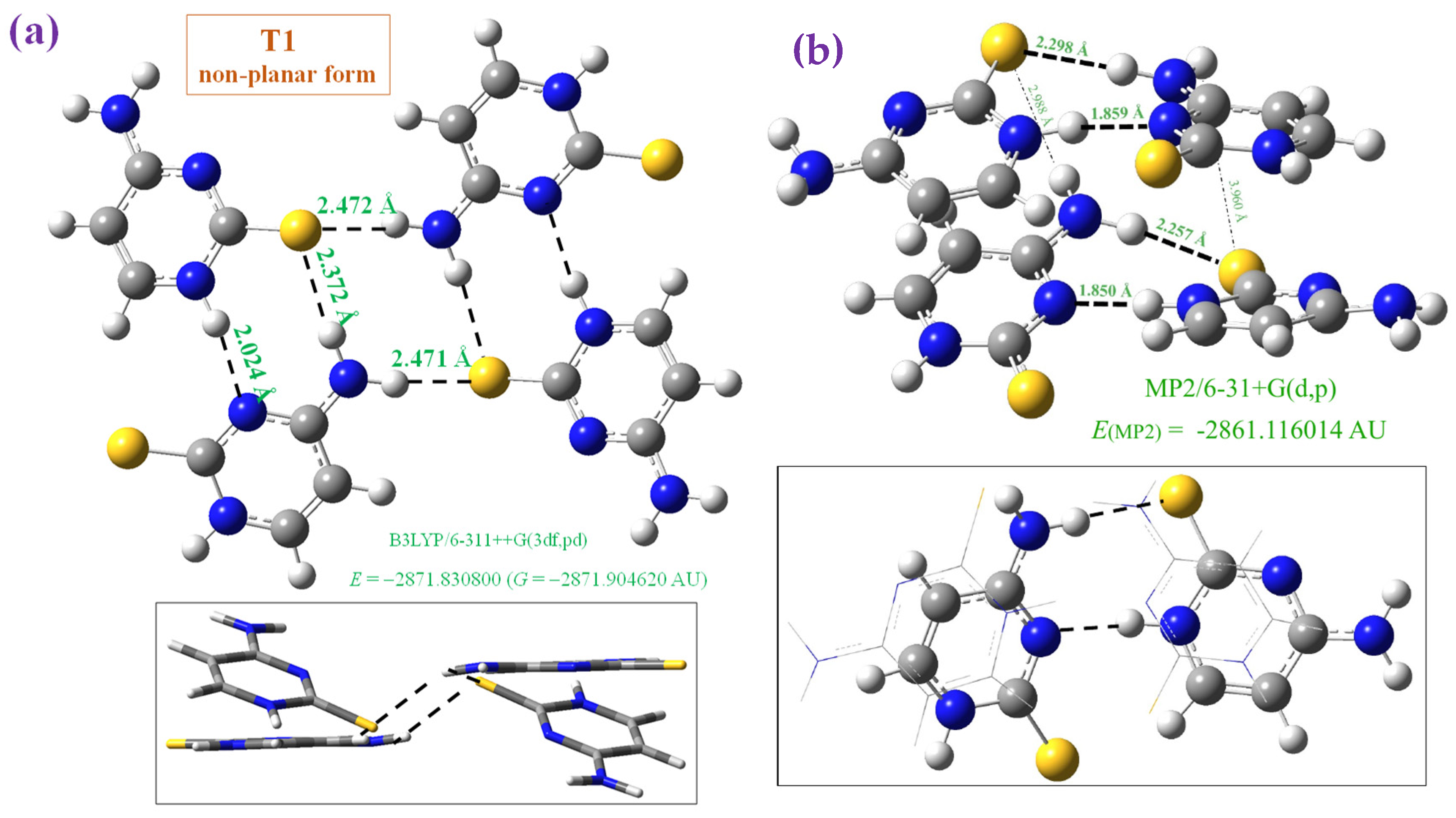 Molecules 30 00559 g004 Molecules 30 00559 g004