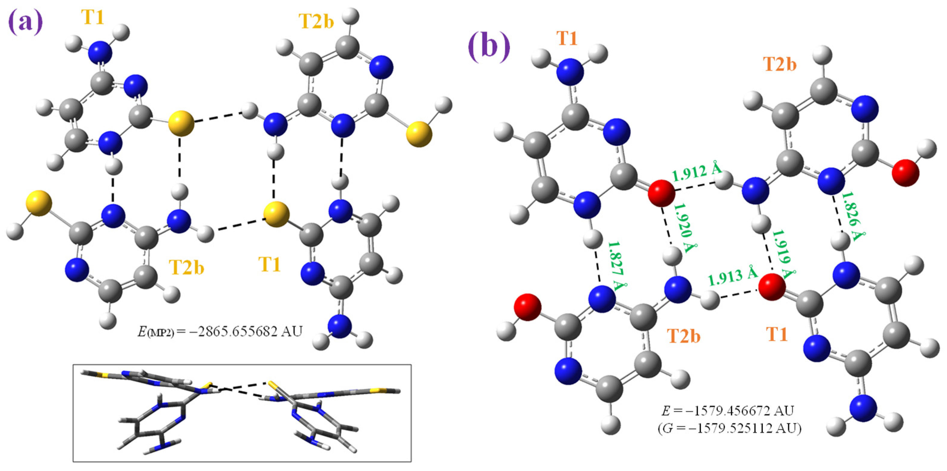 Molecules 30 00559 g005 Molecules 30 00559 g005