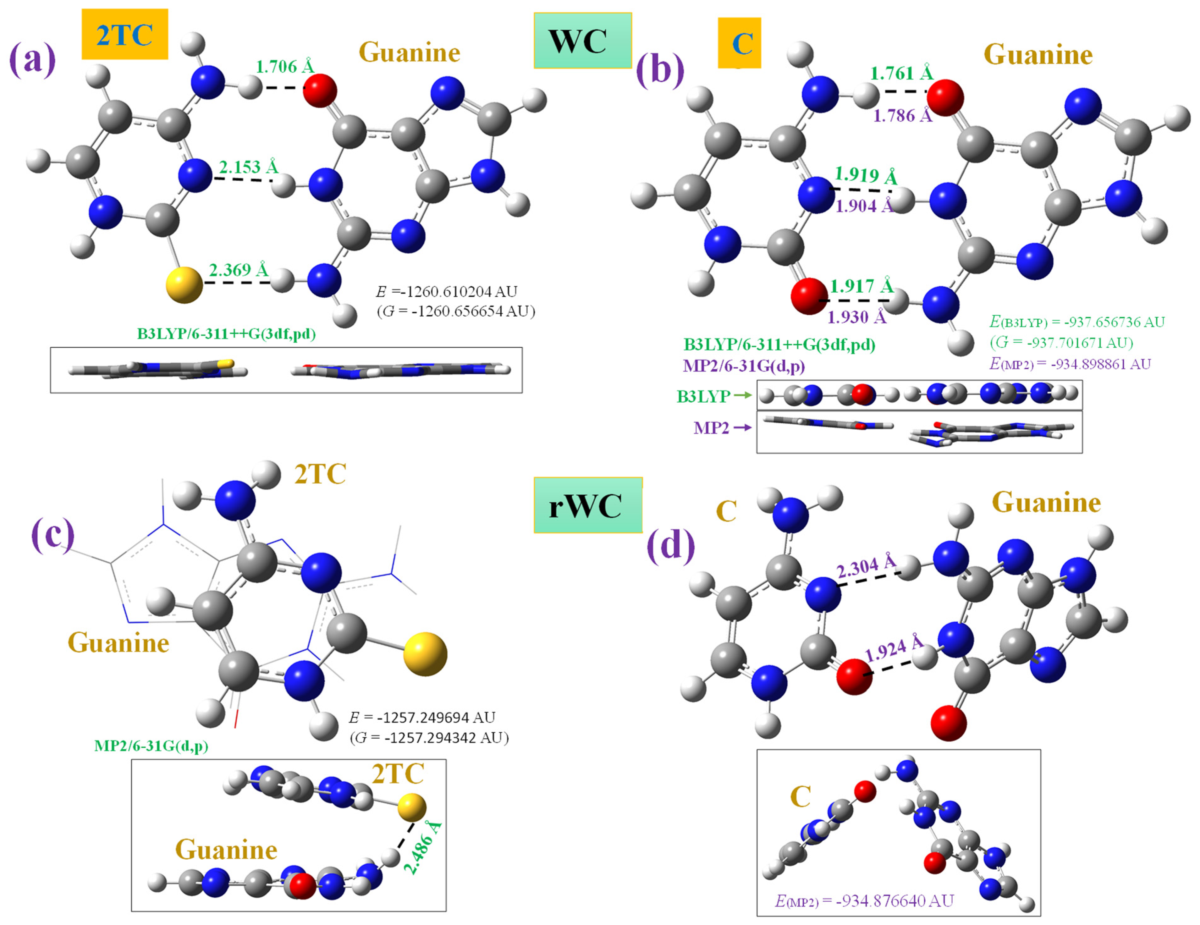 Molecules 30 00559 g014 Molecules 30 00559 g014