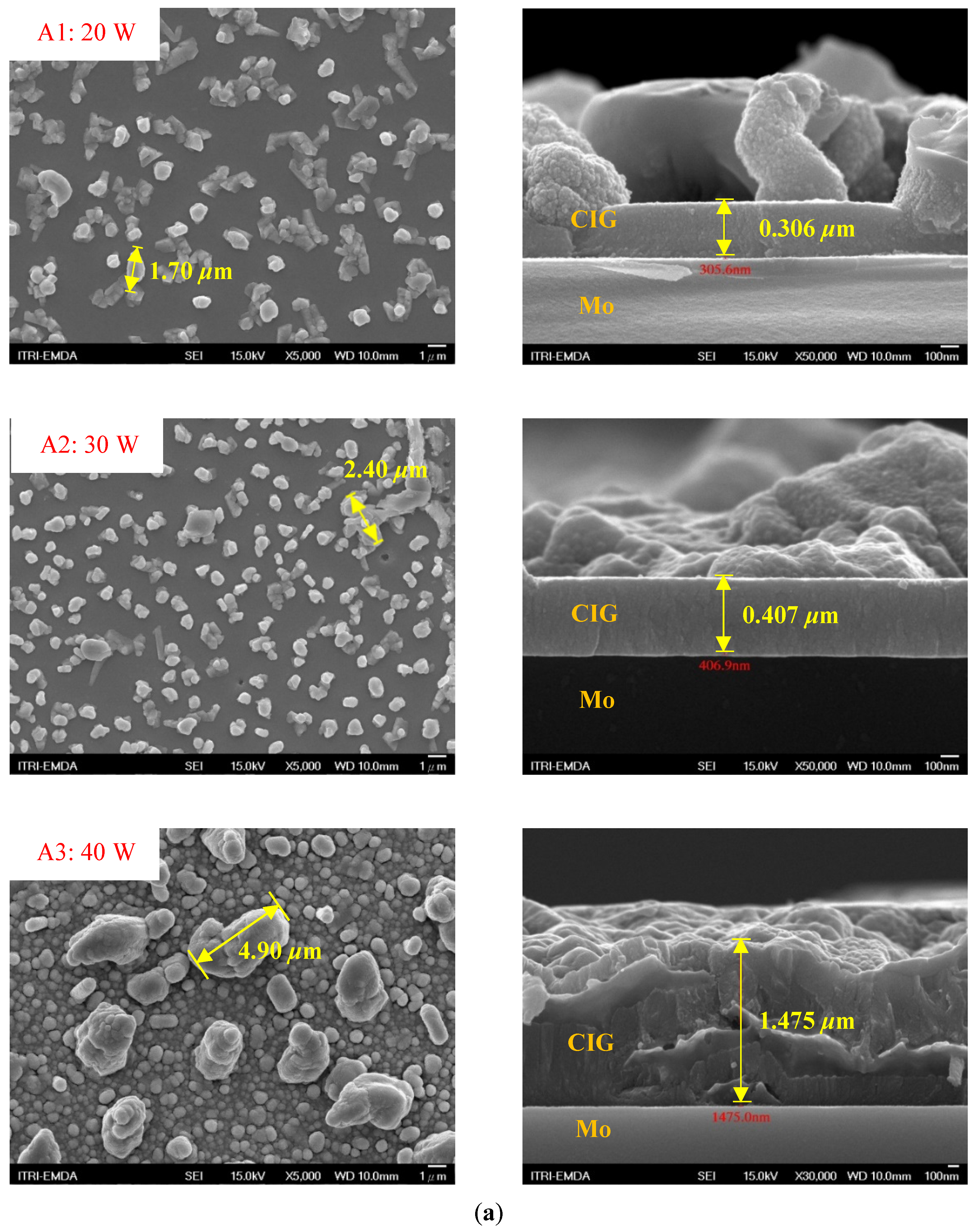Molecules 30 00562 g002a