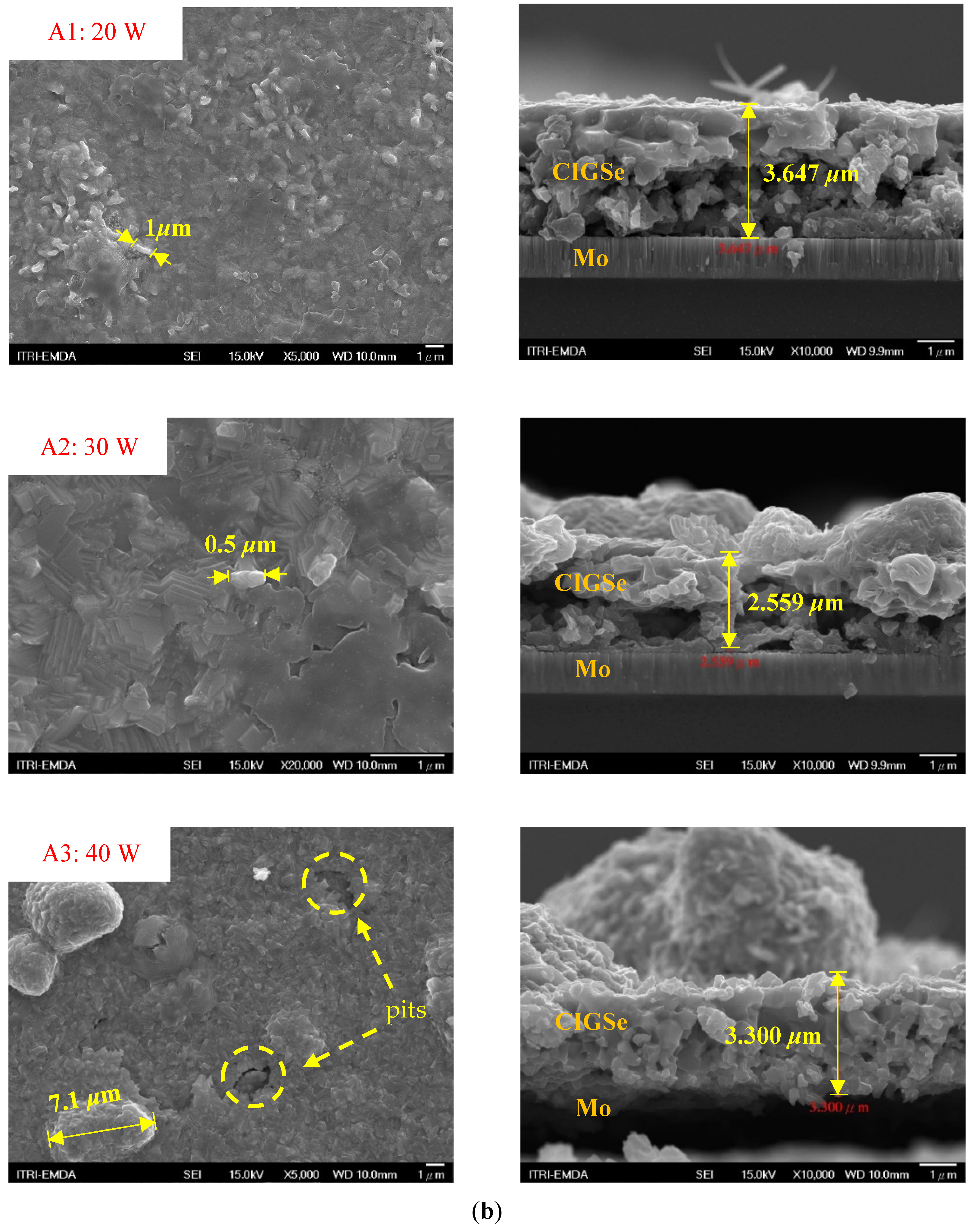 Molecules 30 00562 g002b