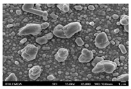 Molecules 30 00562 i006