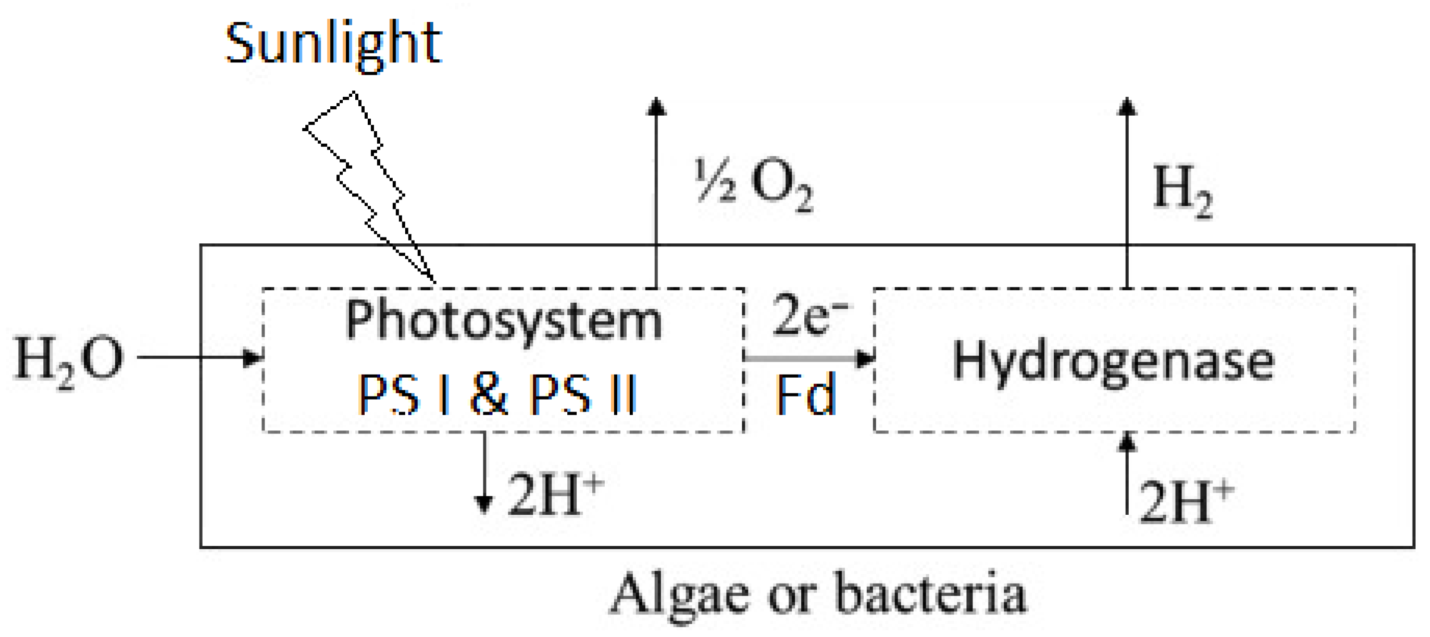 Molecules 30 00565 g002