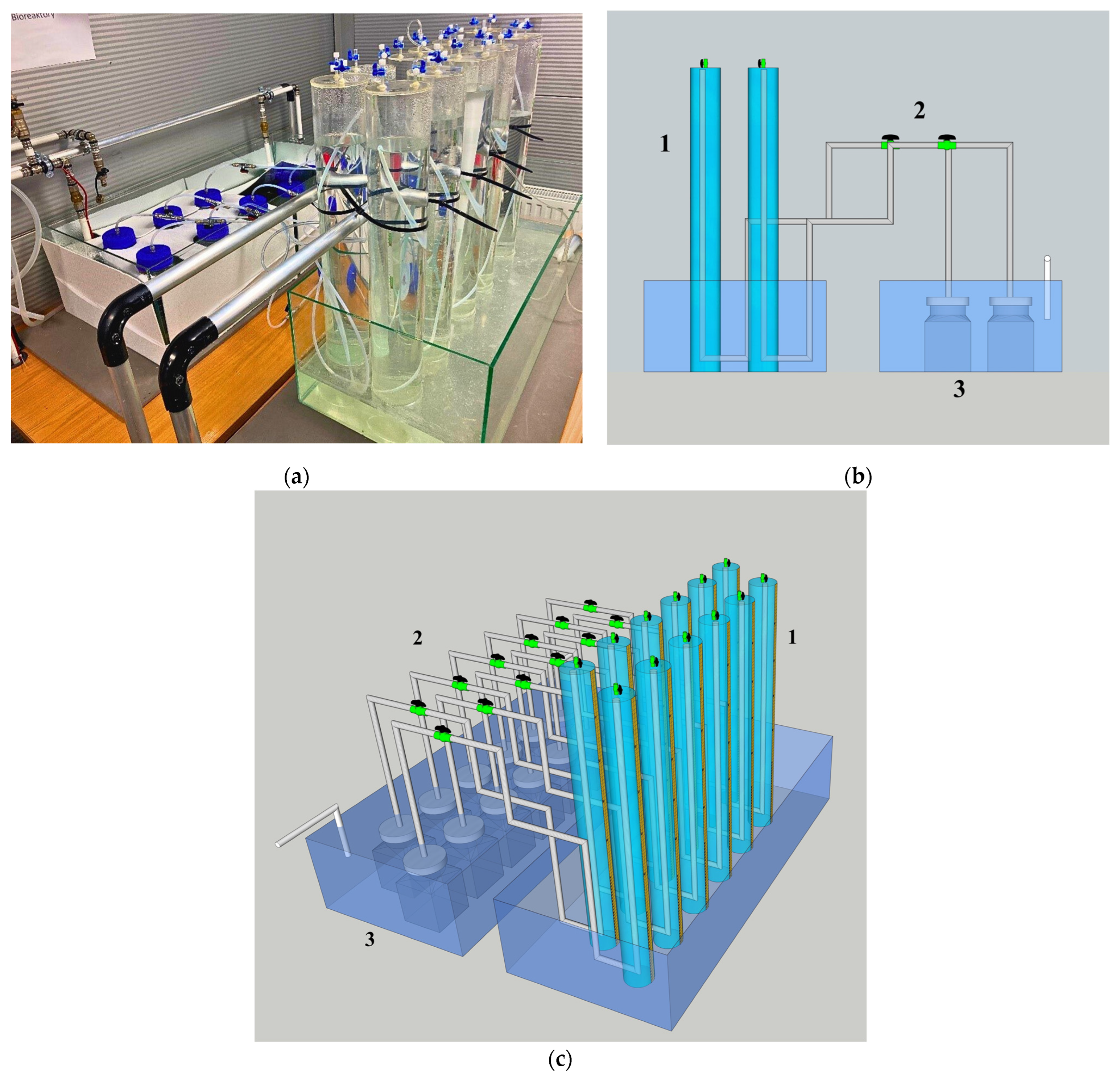 Molecules 30 00565 g008